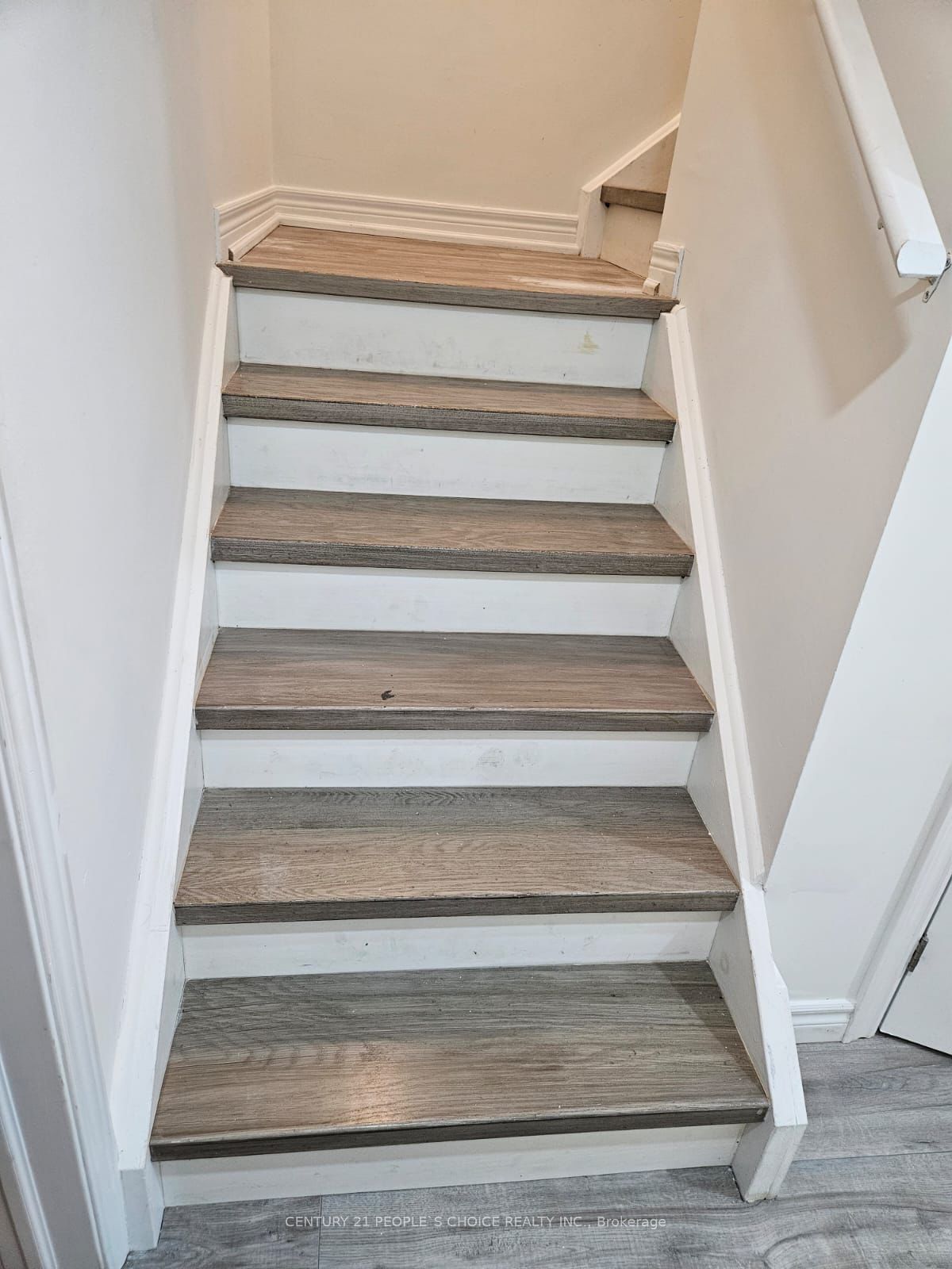 #bsmt - 4 Bachelor Street Property Photo 6