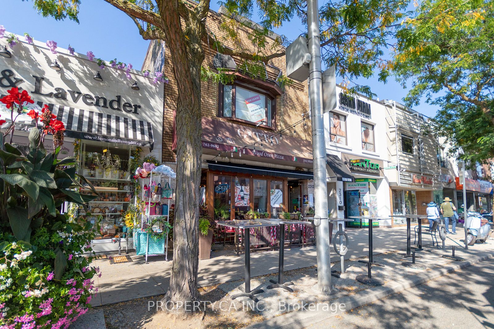 2312 Bloor Street Property Photo 3