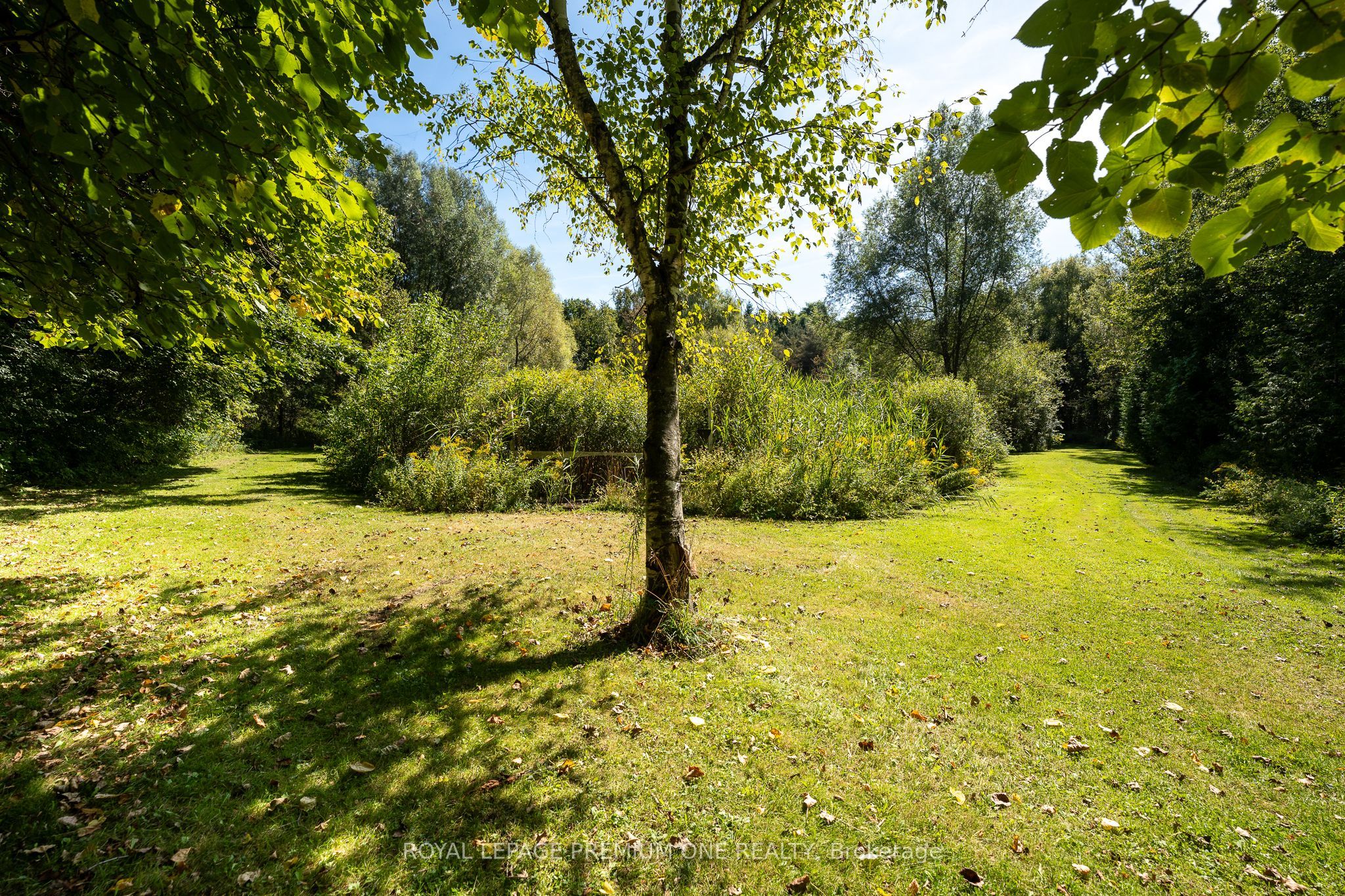 14650 Heart Lake Road Property Photo 44