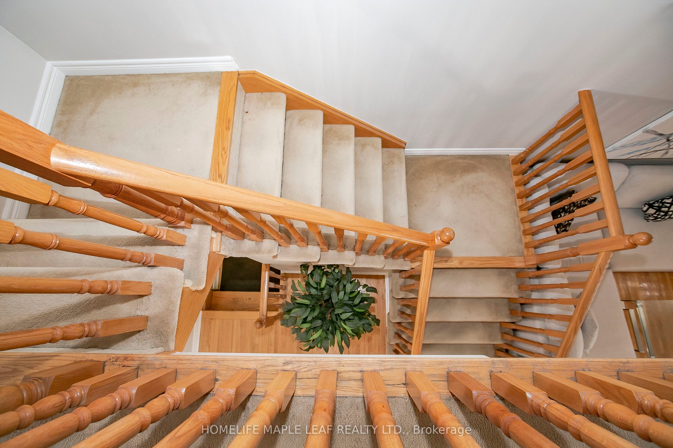 29 Dewridge Court Property Photo 15