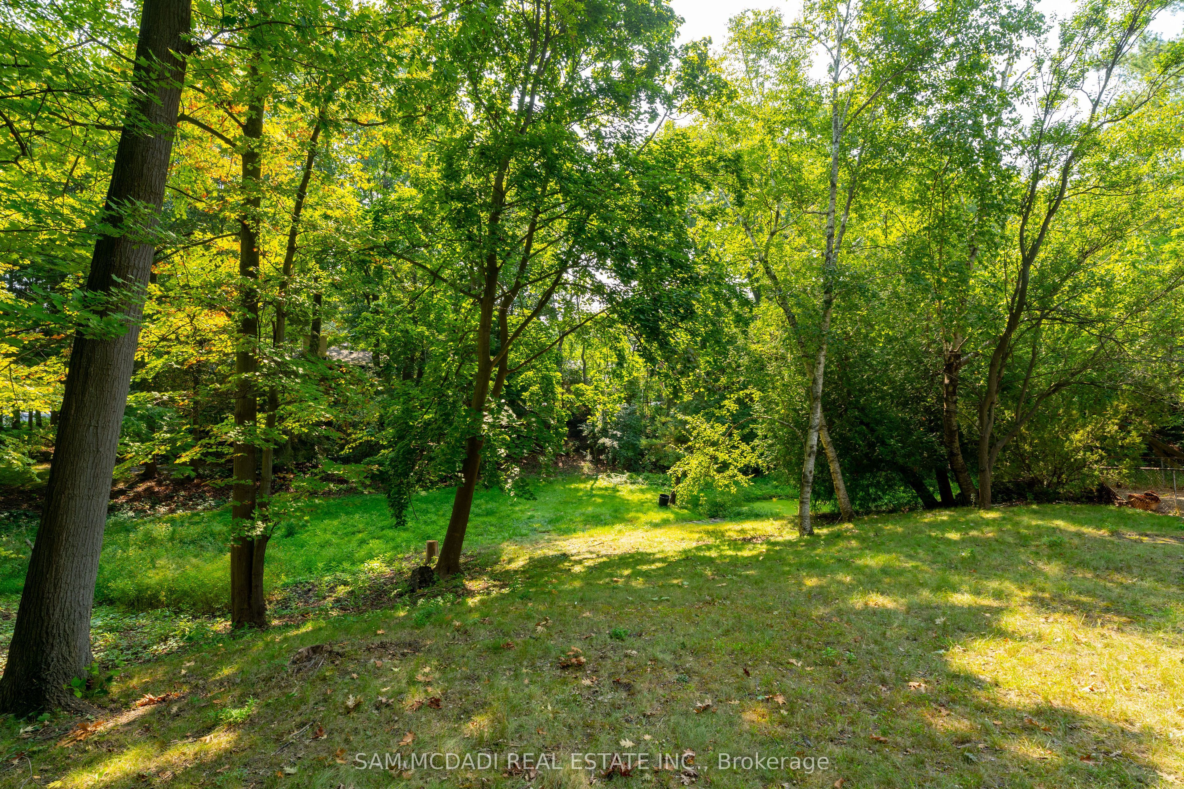 1322 Birchview Drive Property Photo 5