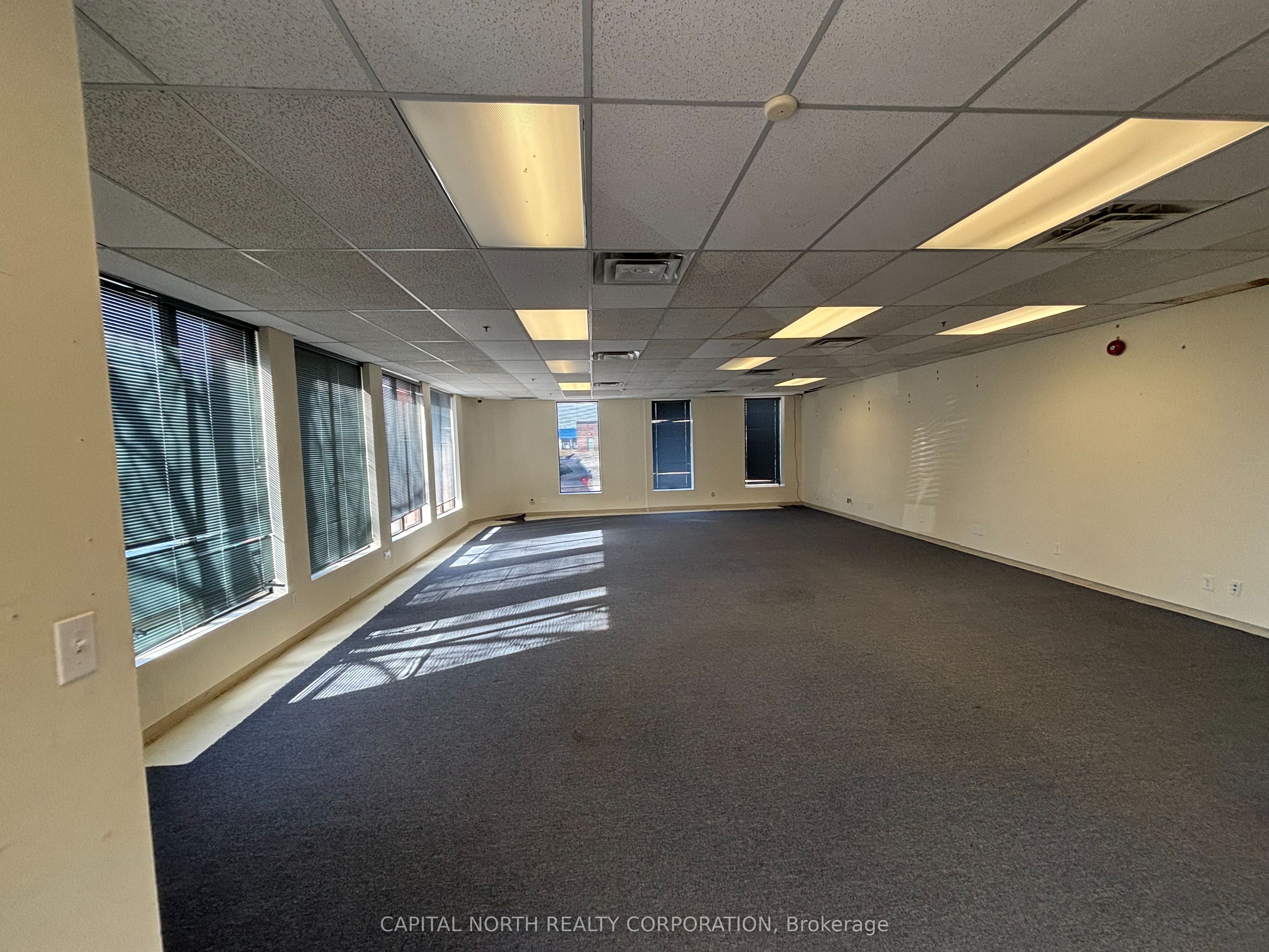 126 Martin Ross Avenue Property Photo 3