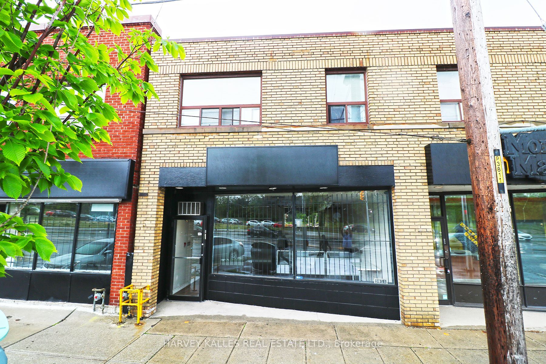 3811 Lake Shore Boulevard Property Photo 1