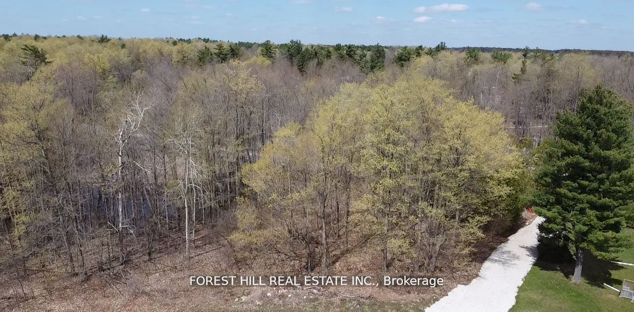 7406 17 Side Road Property Photo 2