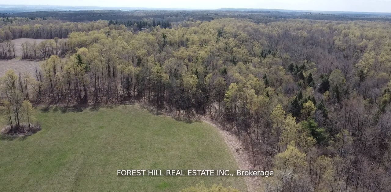 7406 17 Side Road Property Photo 3