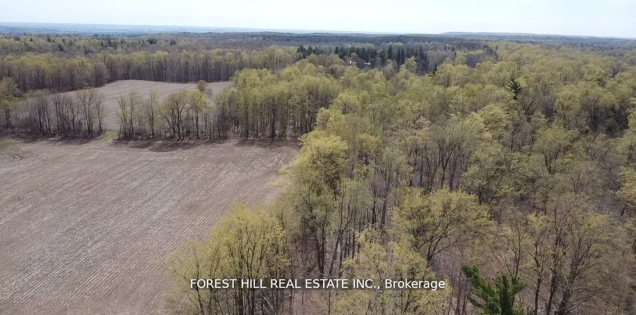 7406 17 Side Road Property Photo 4