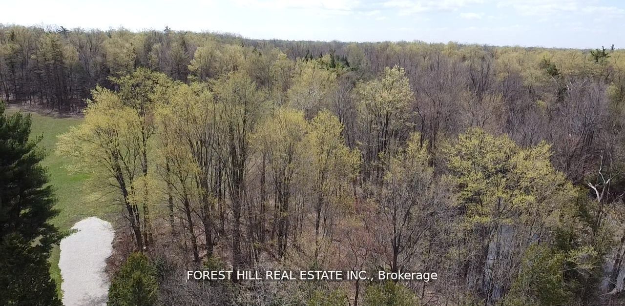 7406 17 Side Road Property Photo 5