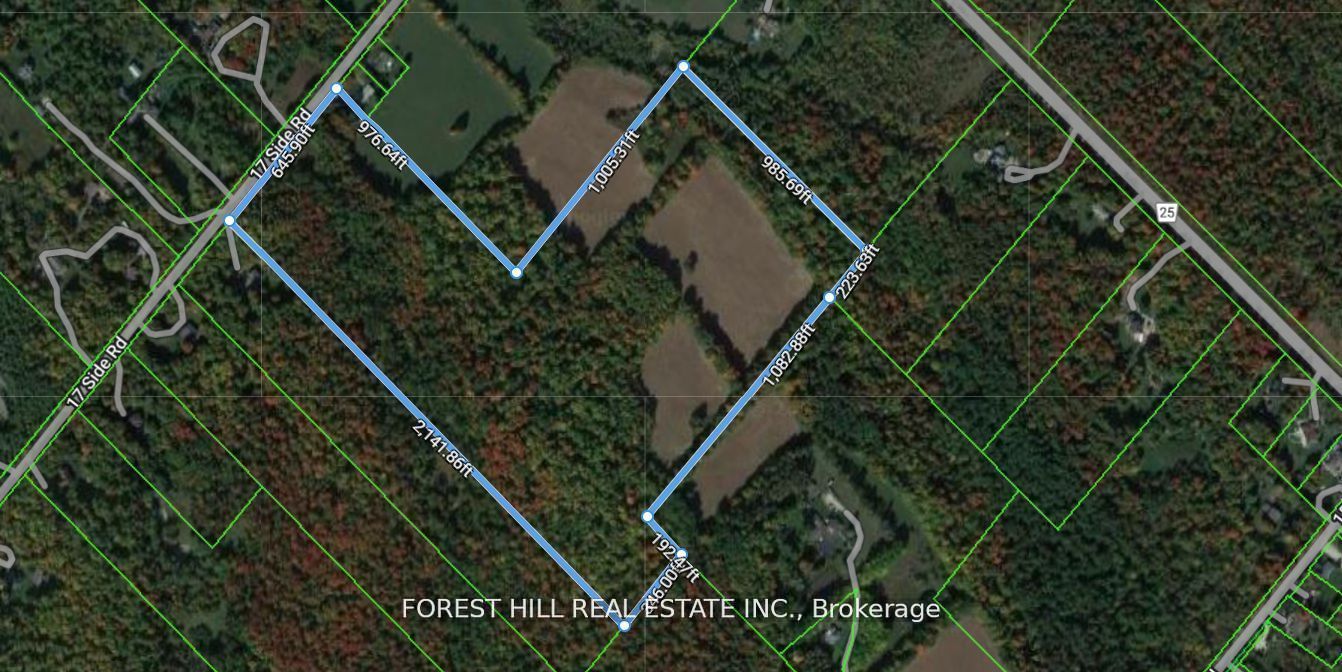 7406 17 Side Road Property Photo 6