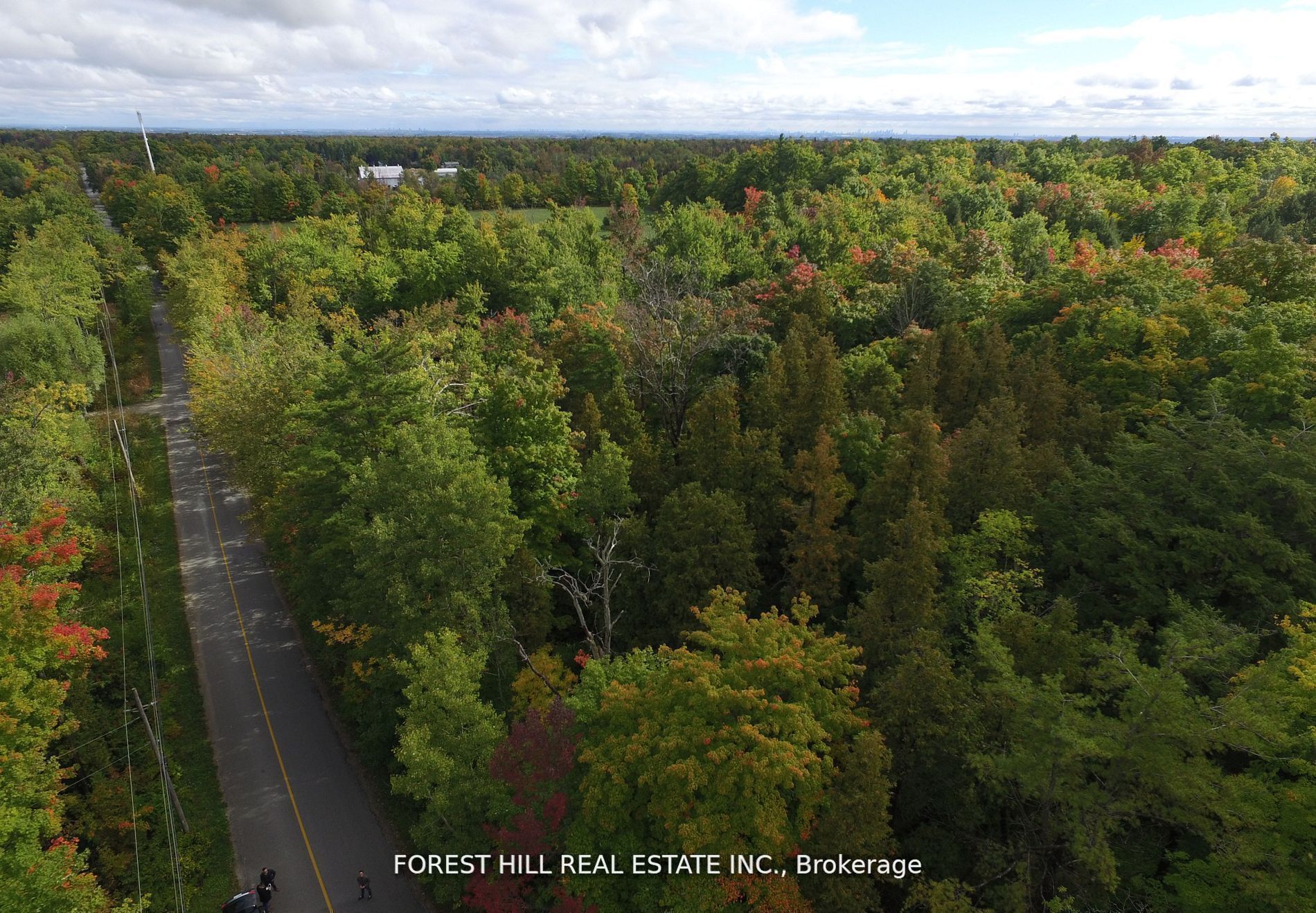 7406 17 Side Road Property Photo 9