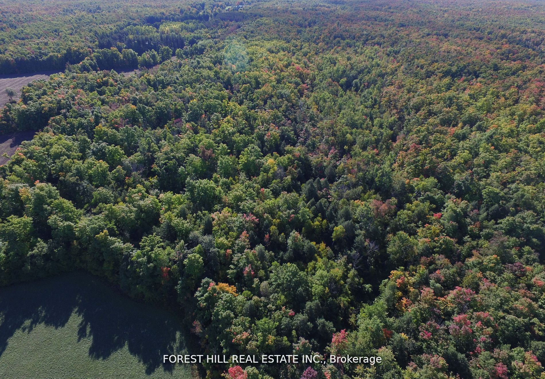 7406 17 Side Road Property Photo 12