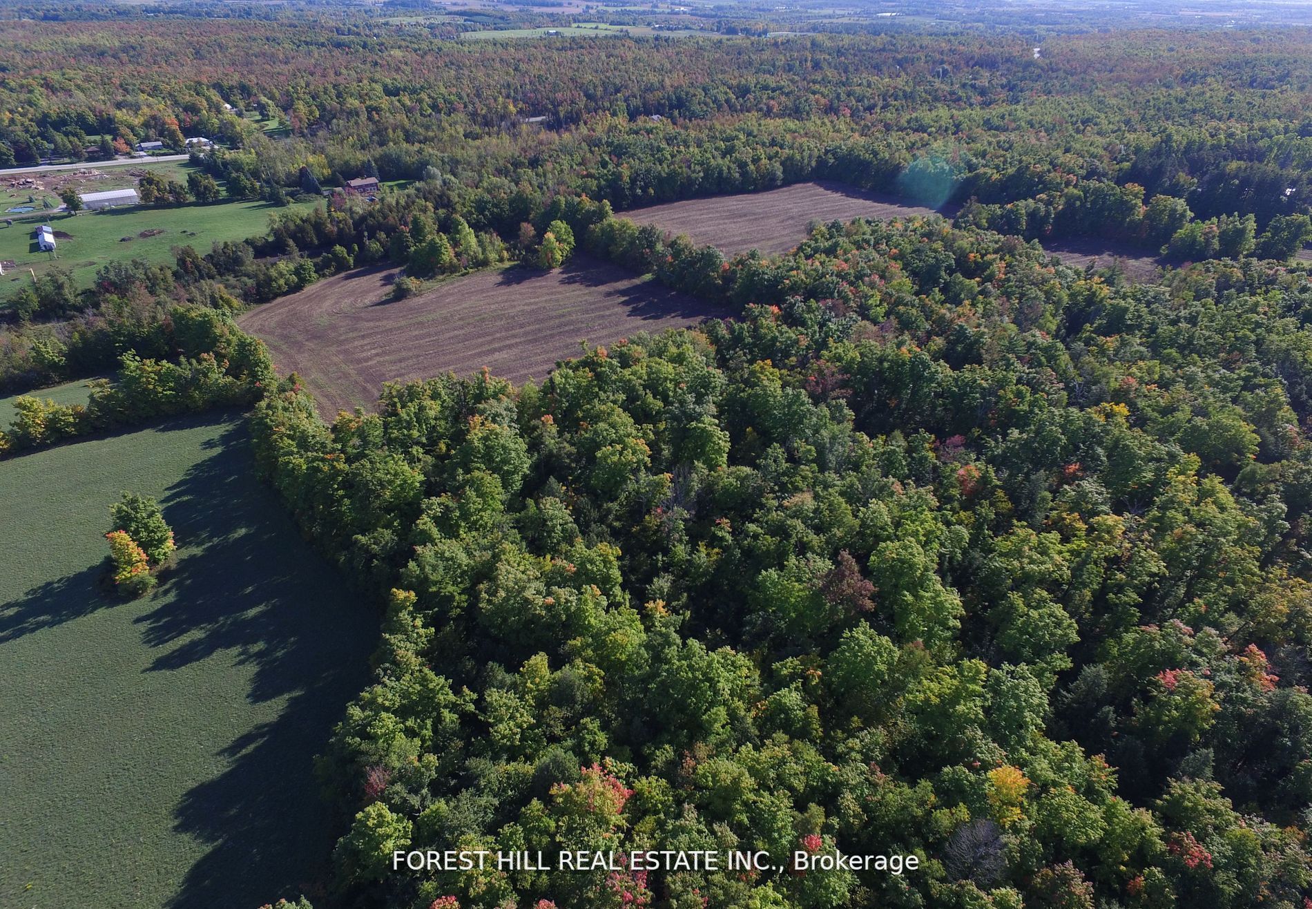 7406 17 Side Road Property Photo 14