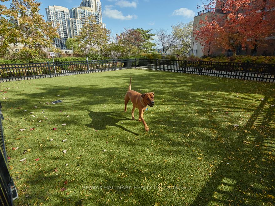 #1202 - 5191 Dundas Street Property Photo 24