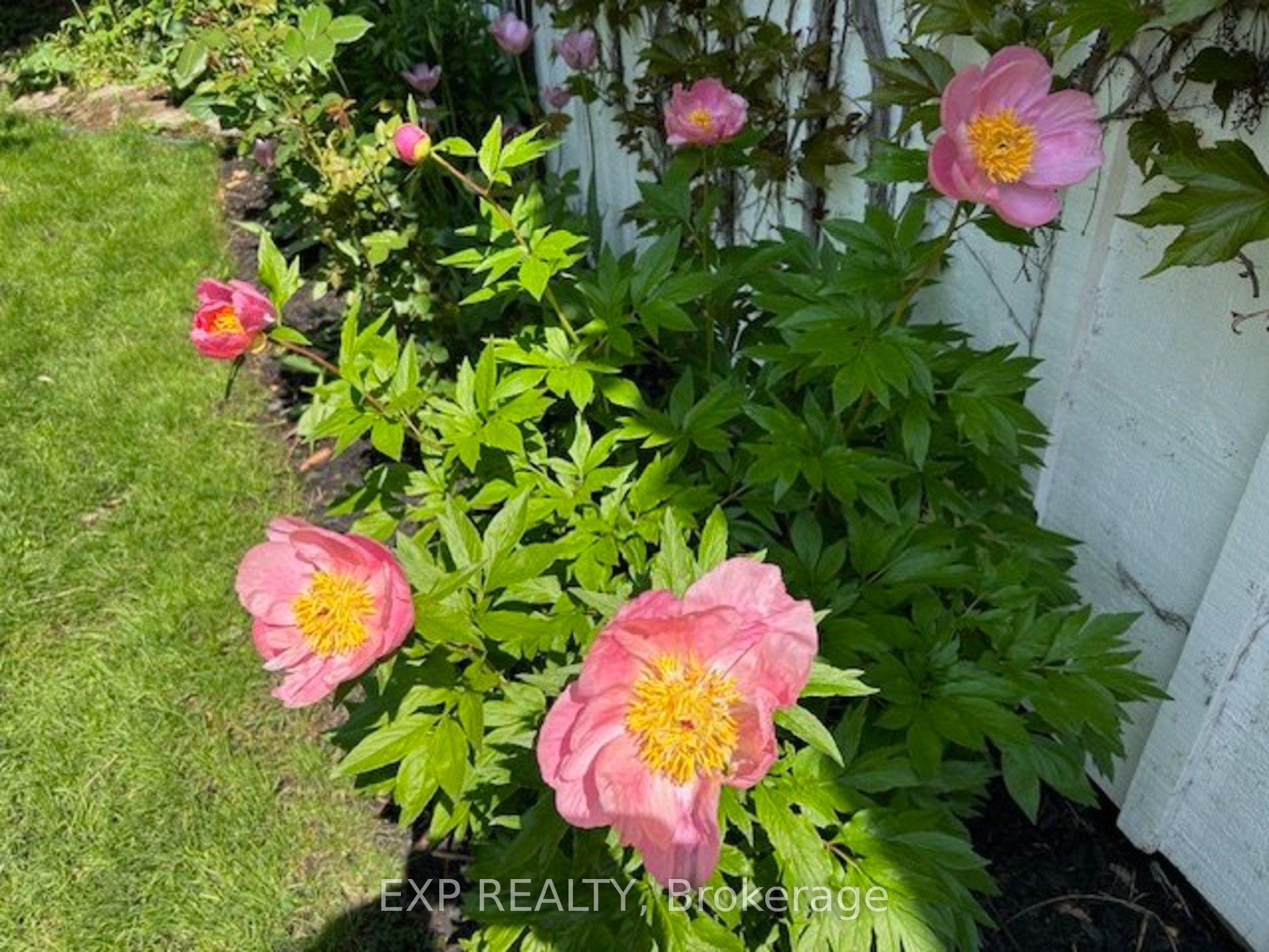 71 Mill Street Property Photo 29