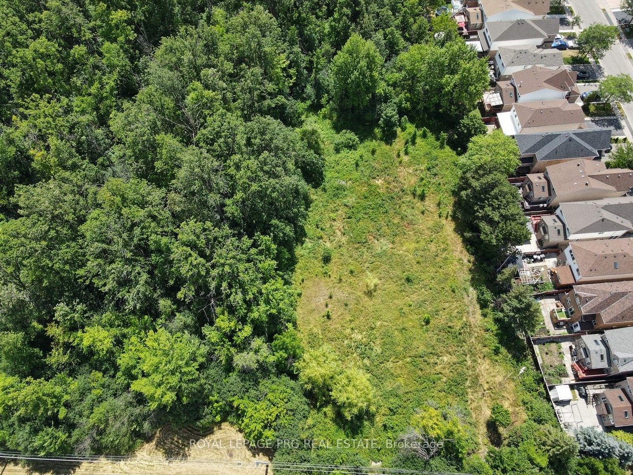 10196 Bramalea Road Property Photo 4