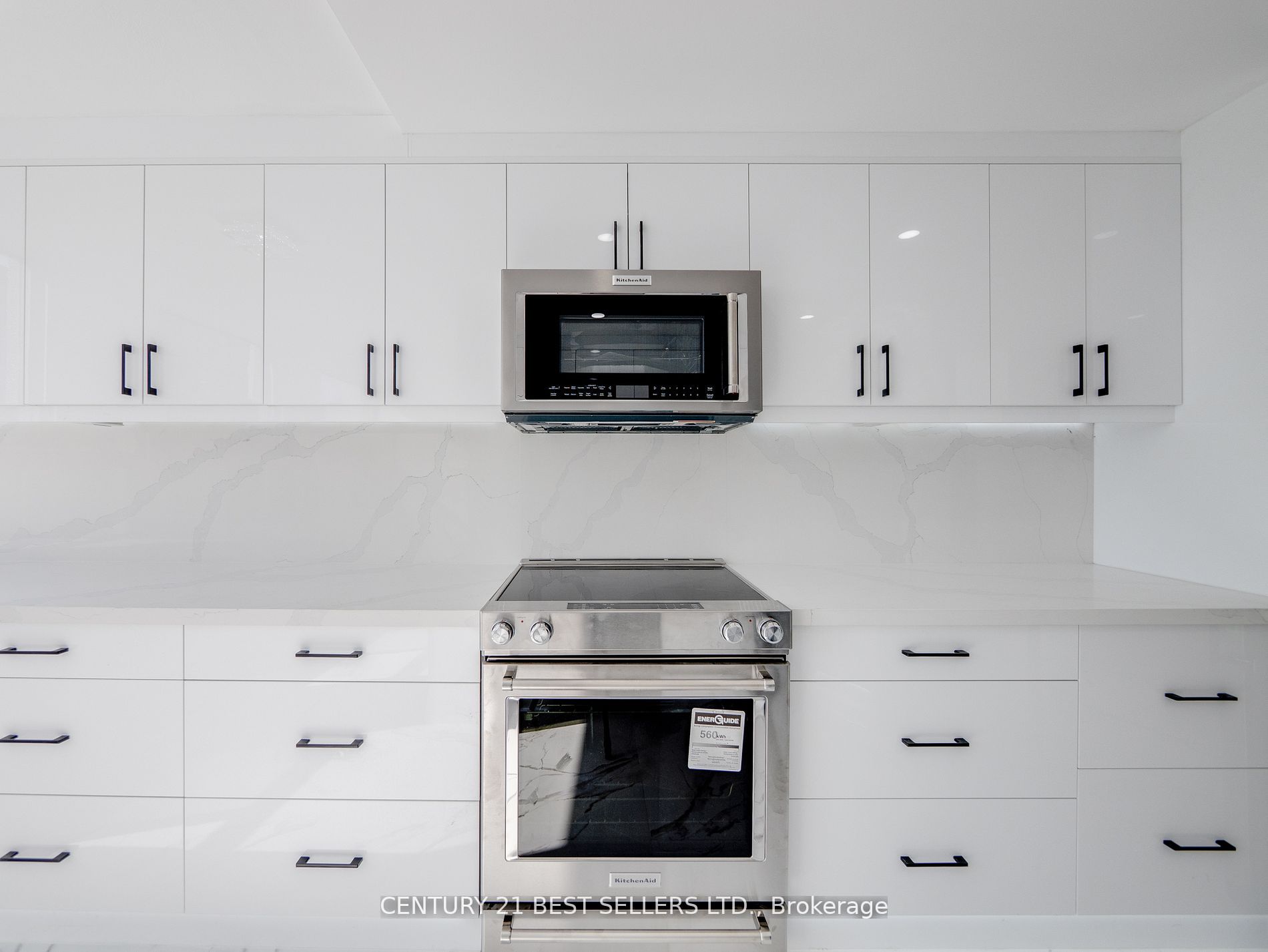 3650 Kaneff Cres Property Photo 15