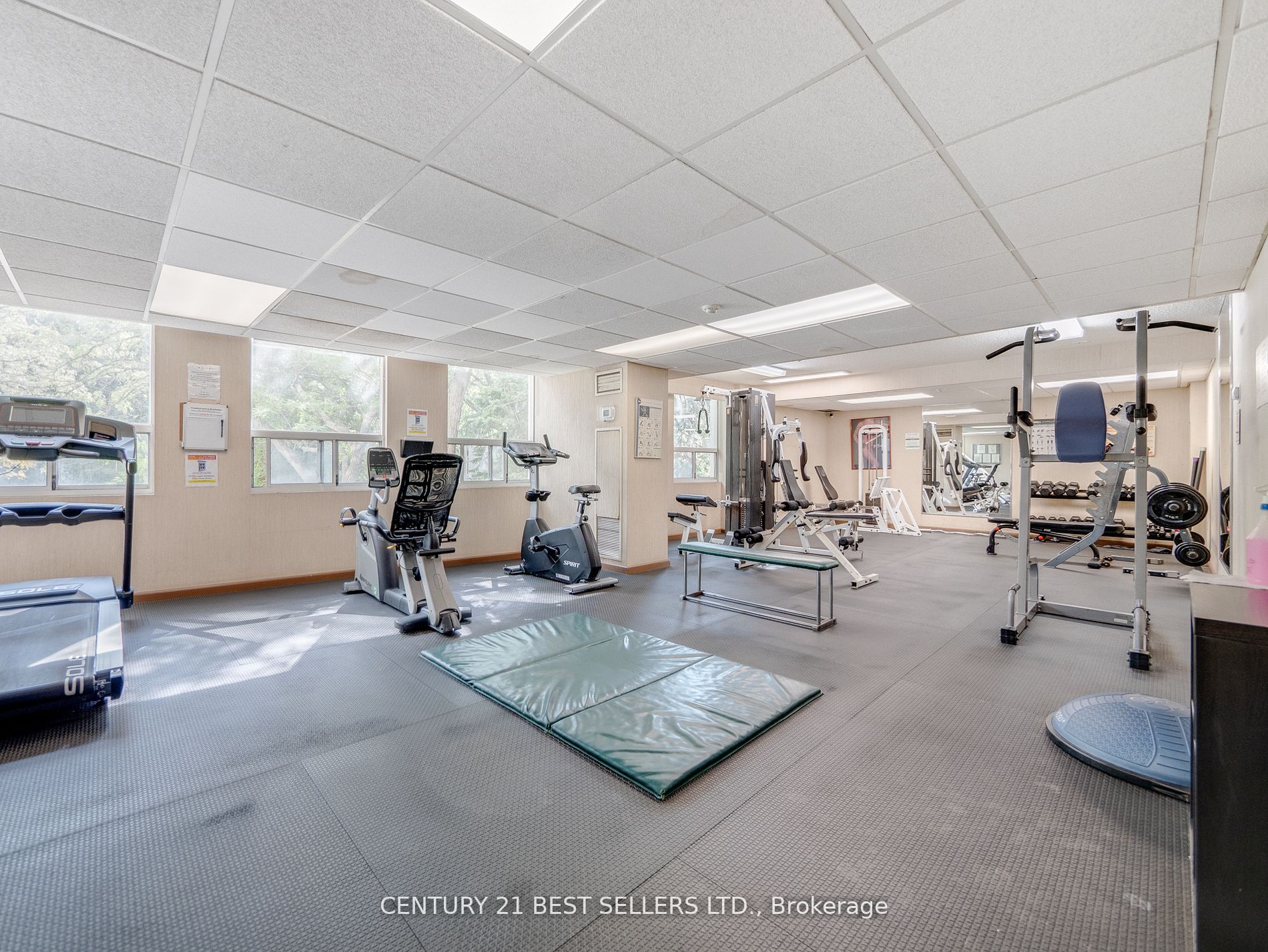 3650 Kaneff Cres Property Photo 35