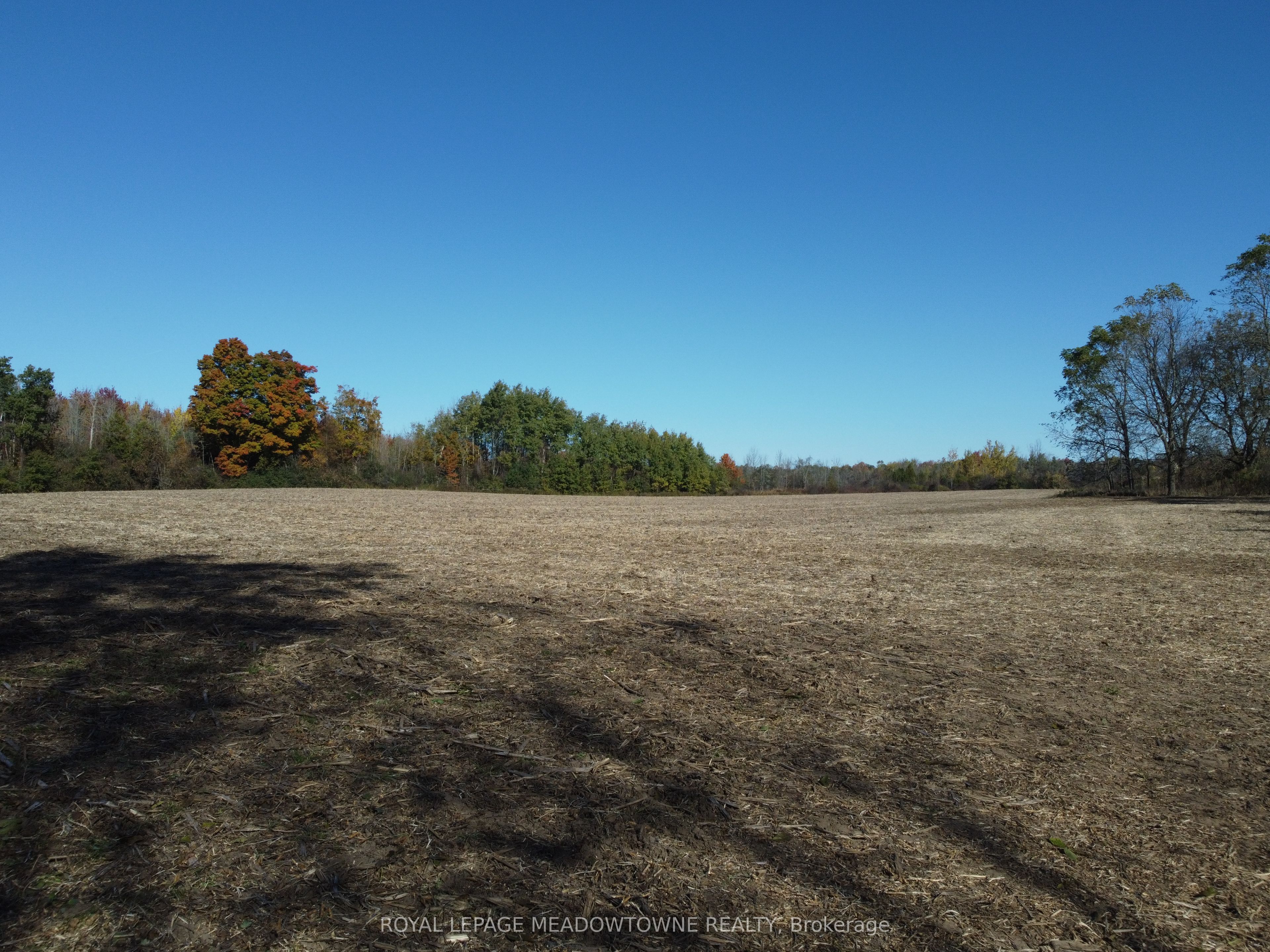 11080 1st Line Property Photo