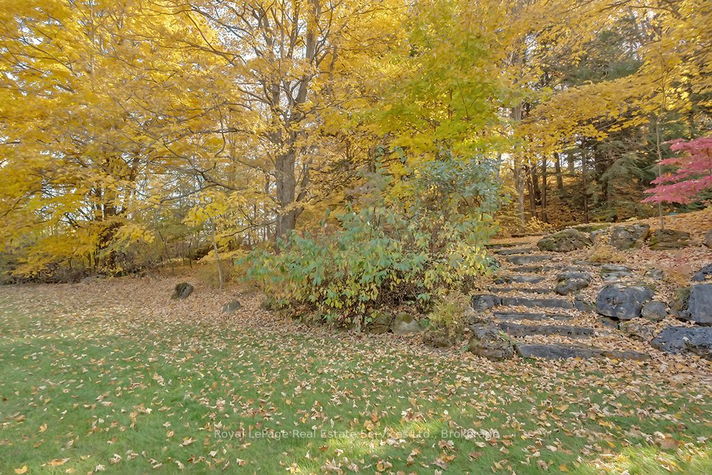 6 Turtle Lake Drive Property Photo 38
