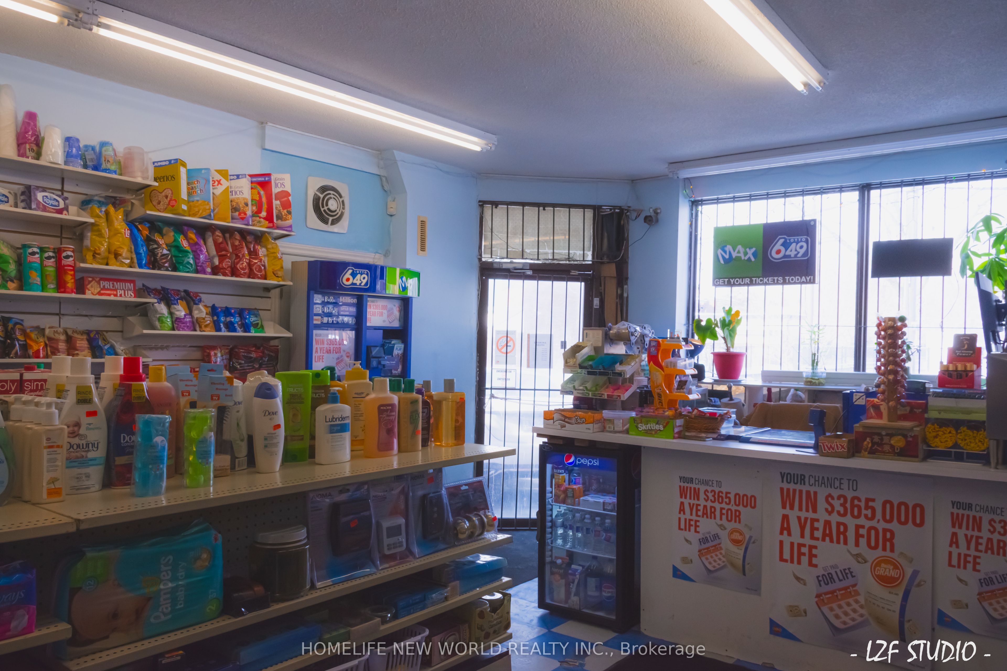 113 Lambton Avenue Property Photo 10
