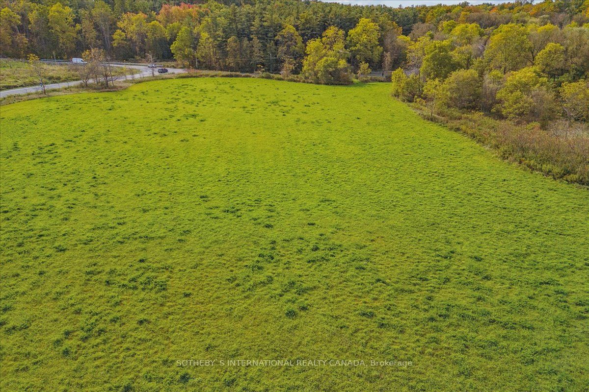 9 Walkers Line Property Photo 11