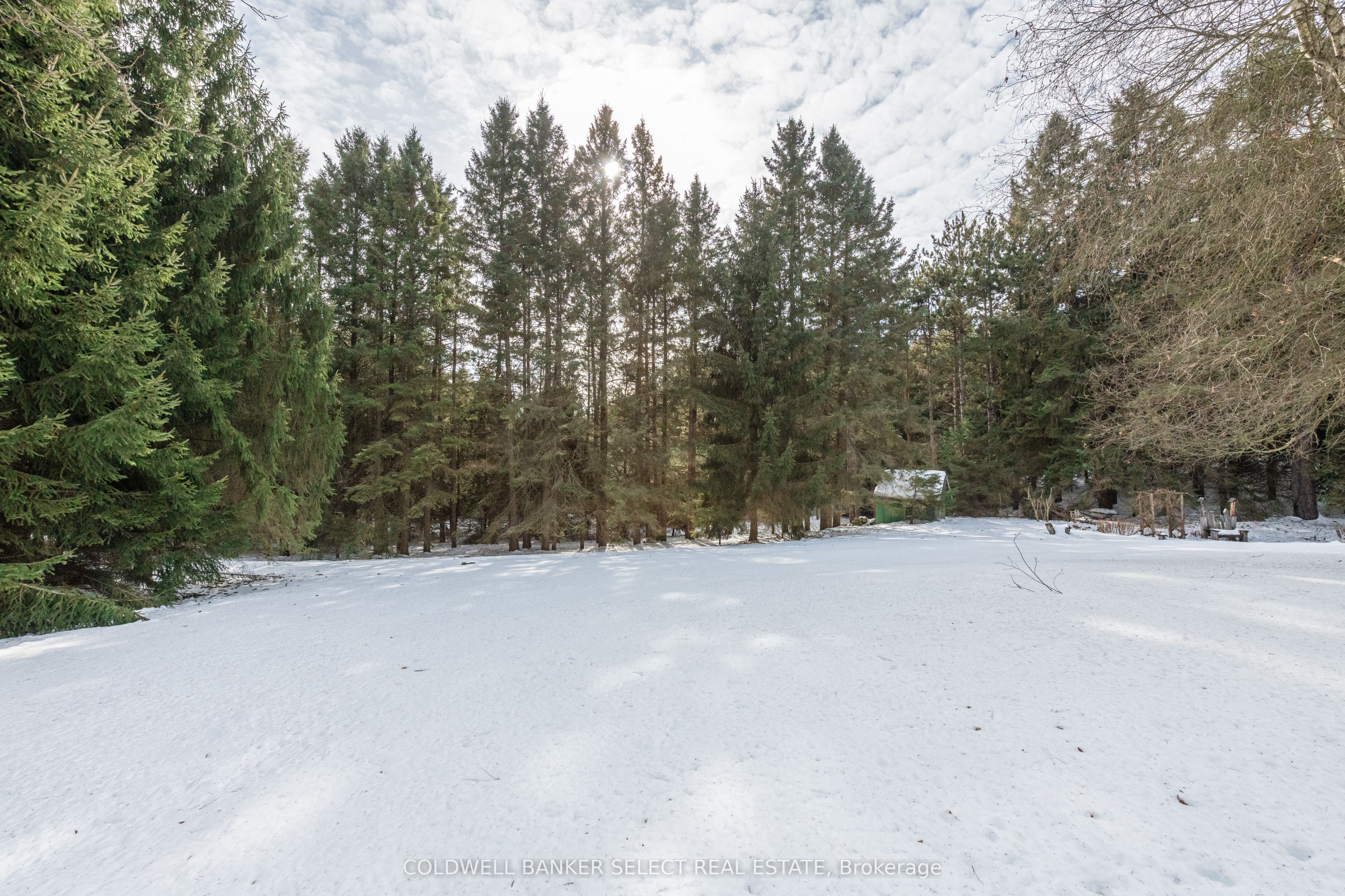 17554 Mt Hope Road Property Photo 40