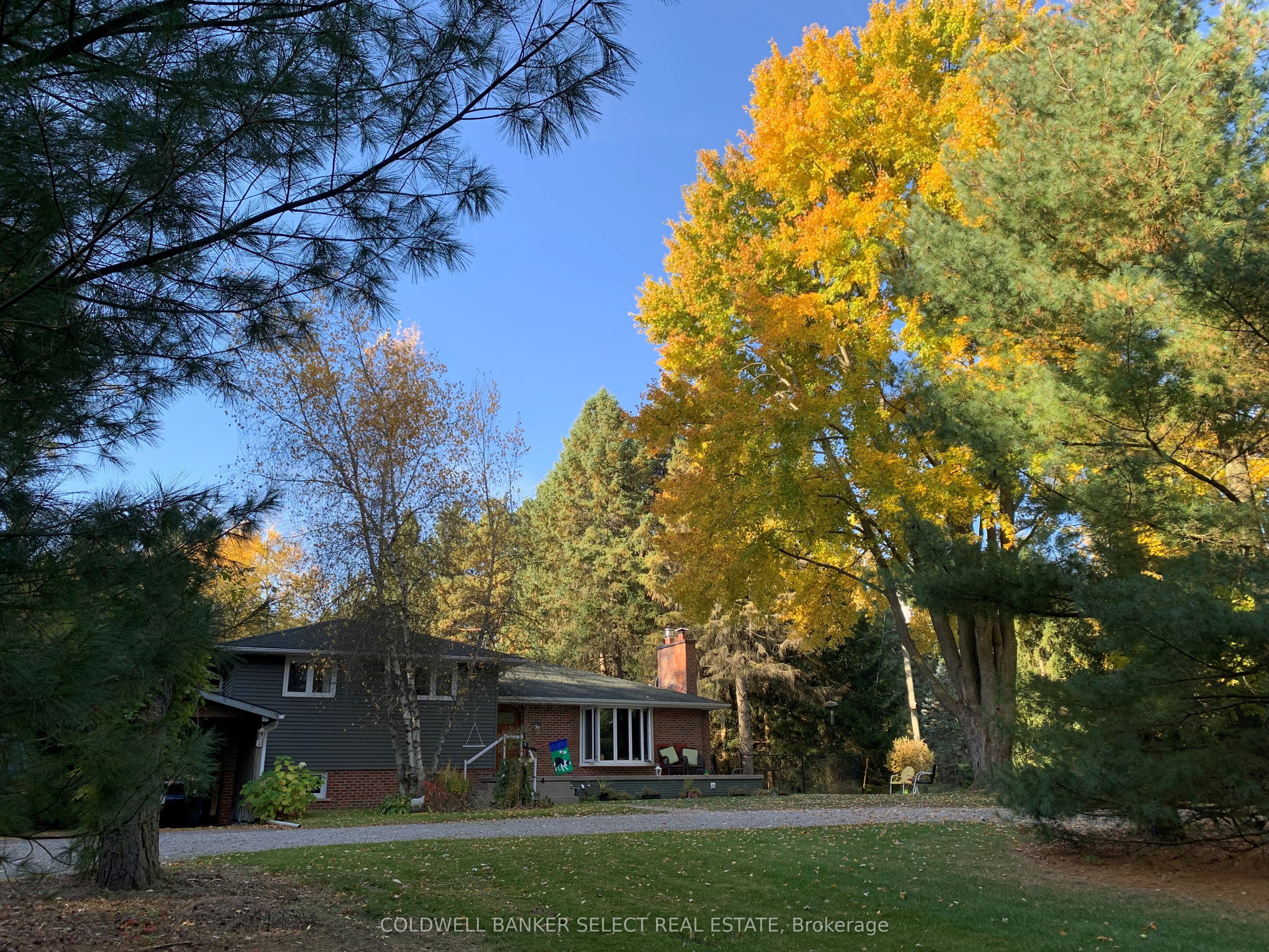 17554 Mt Hope Road Property Photo 50