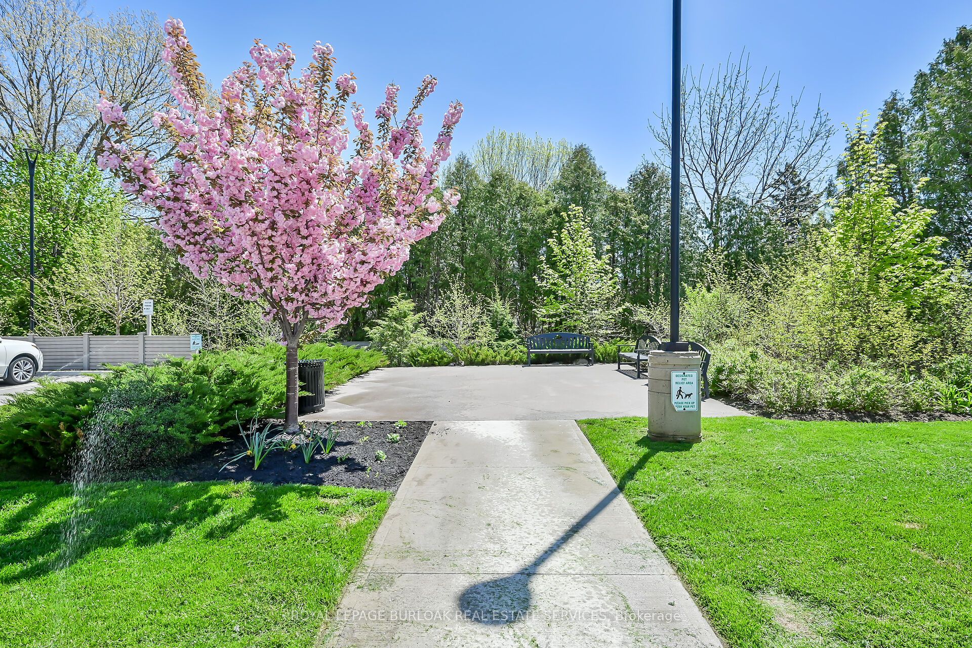 #312 - 320 Plains Road Property Photo 33