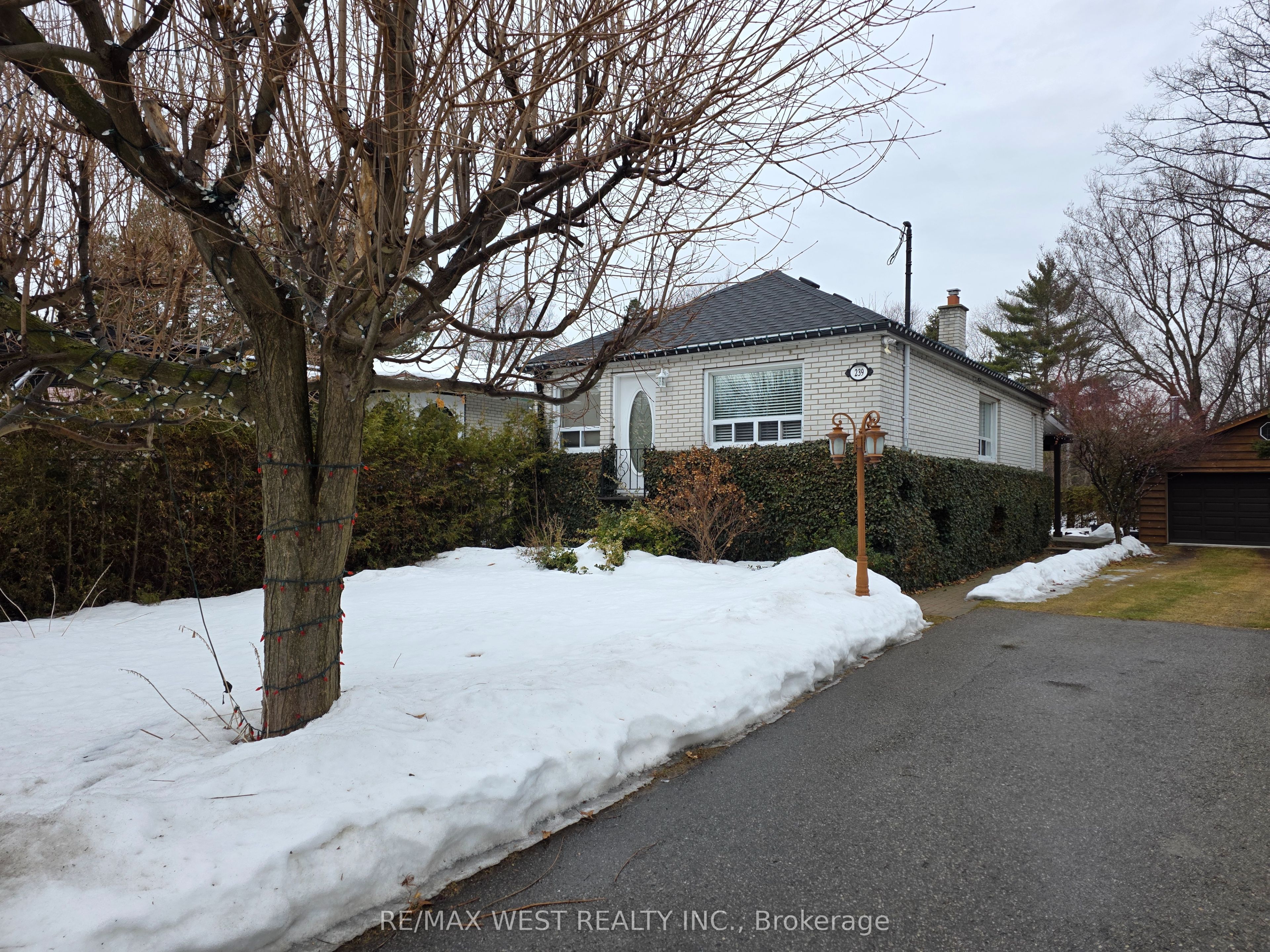 239 Angelene Street Property Photo