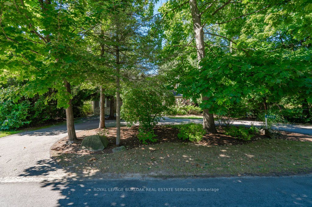 6490 Panton Street Property Photo 2