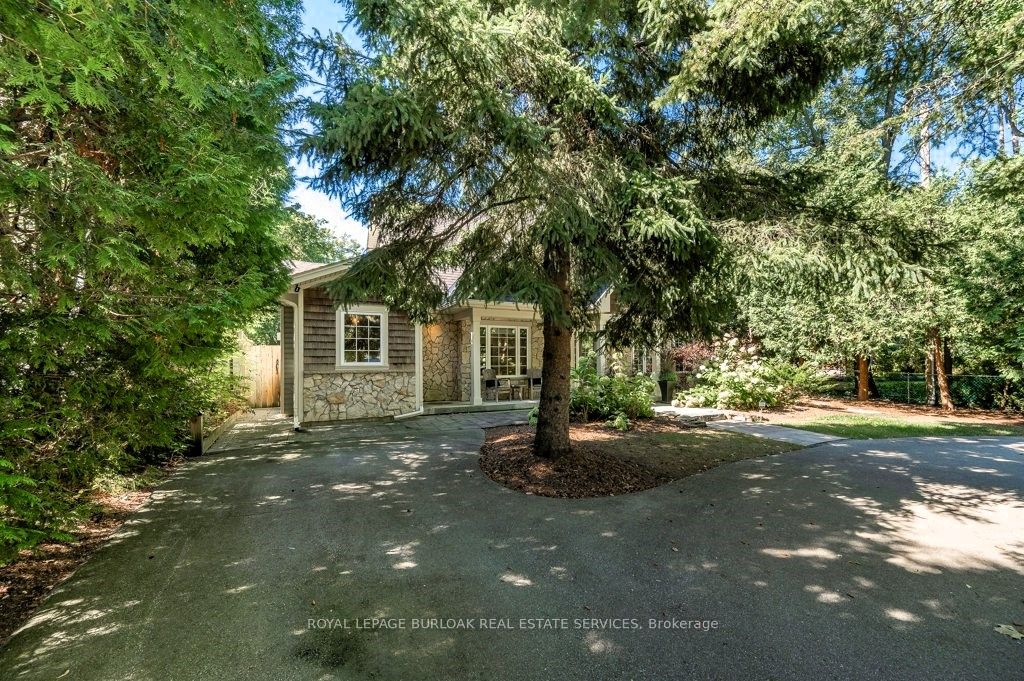 6490 Panton Street Property Photo 3