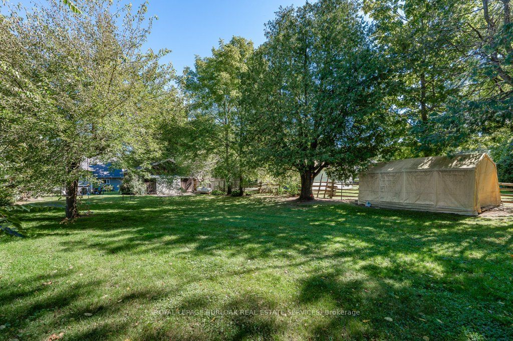6490 Panton Street Property Photo 39