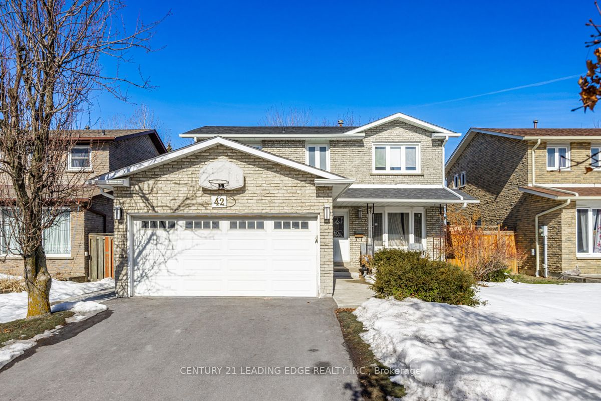 42 Northampton Street Bsmt Property Photo 1