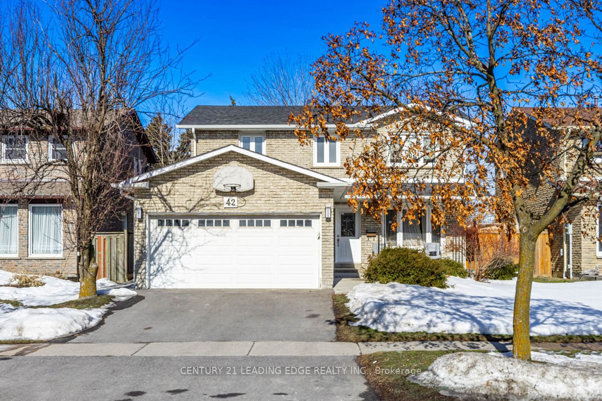 42 Northampton Street Bsmt Property Photo 2