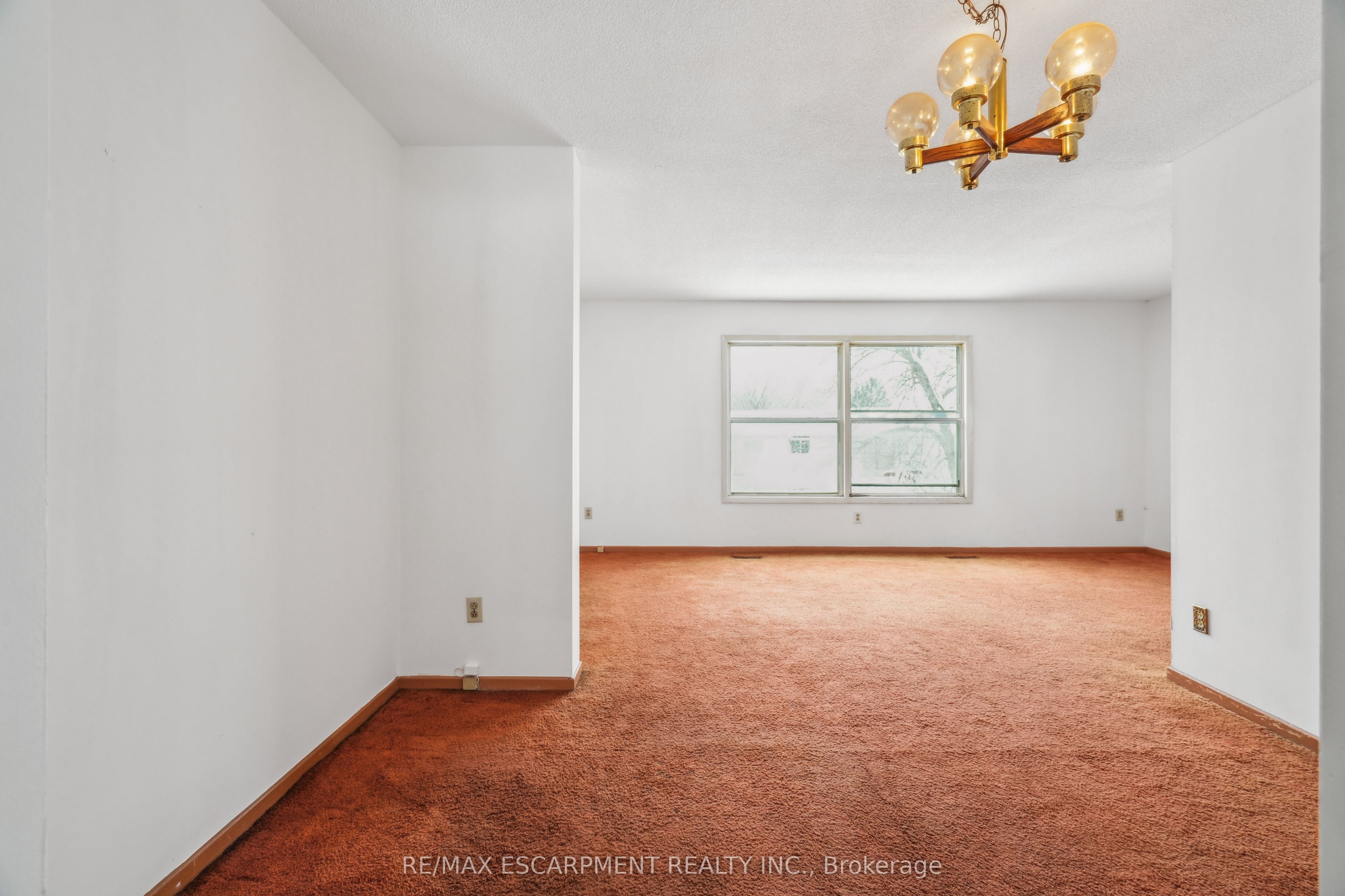 24 Campbell Court Property Photo 16