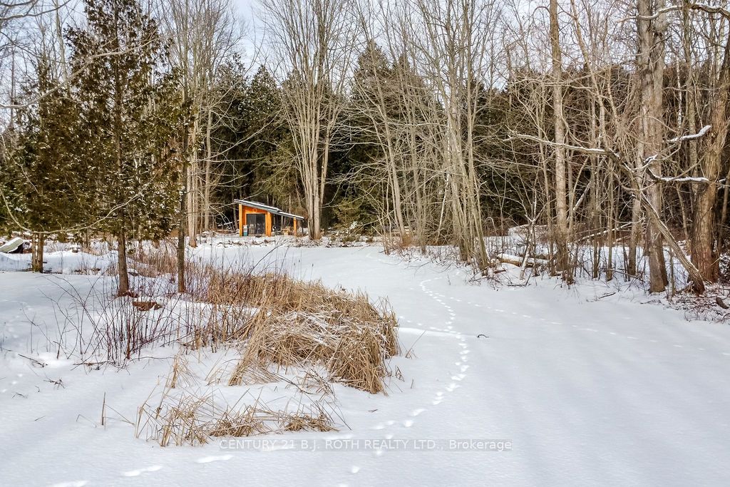 10457 Darkwood Rd Property Photo 38
