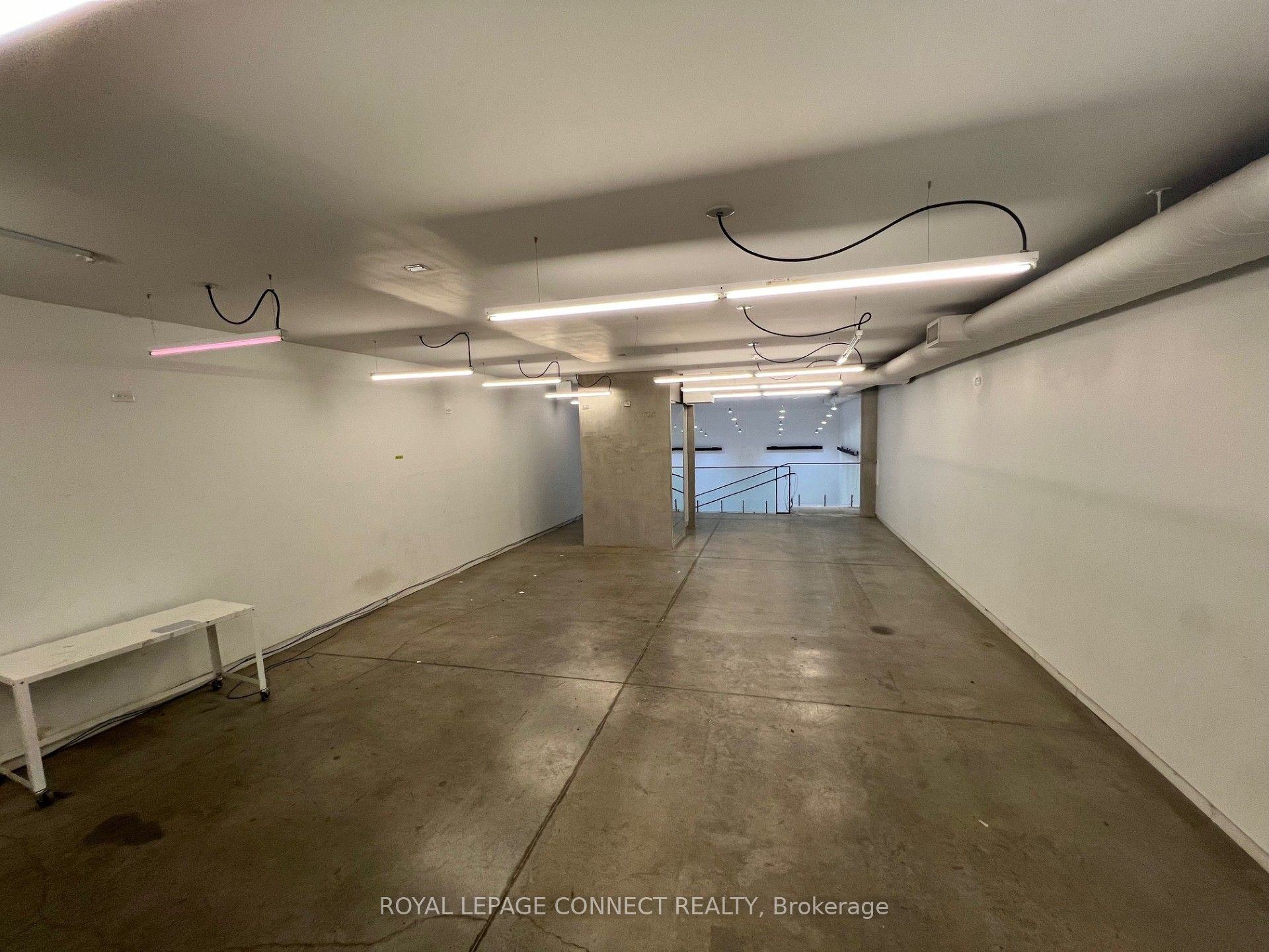 #main - 406 Roncesvalles Avenue Property Photo 19