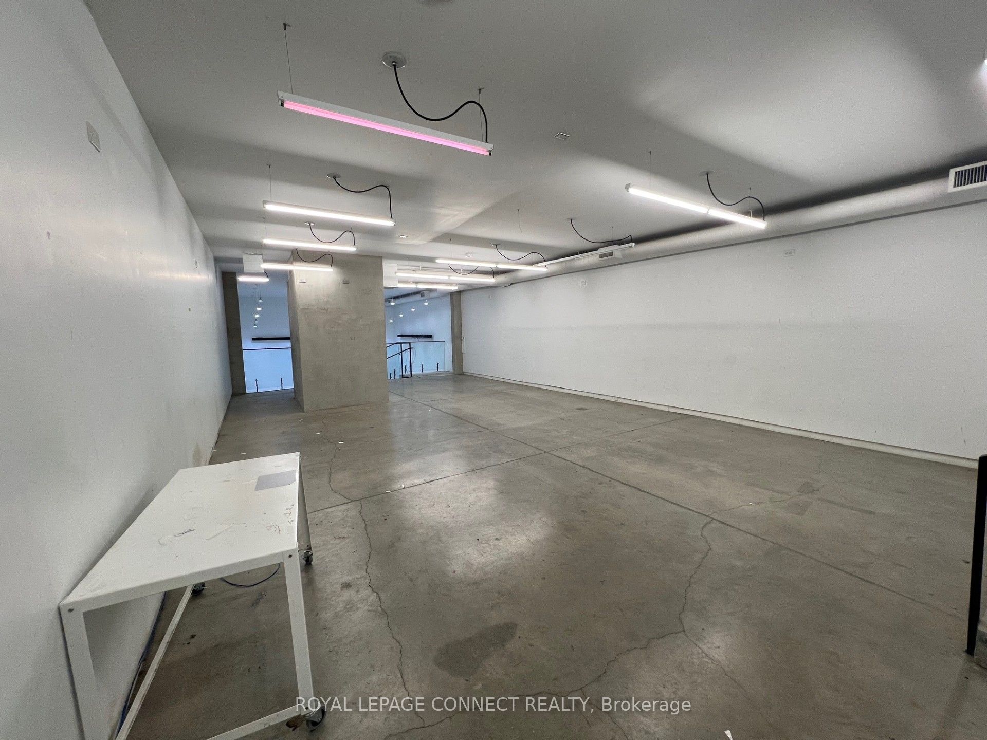 #main - 406 Roncesvalles Avenue Property Photo 21