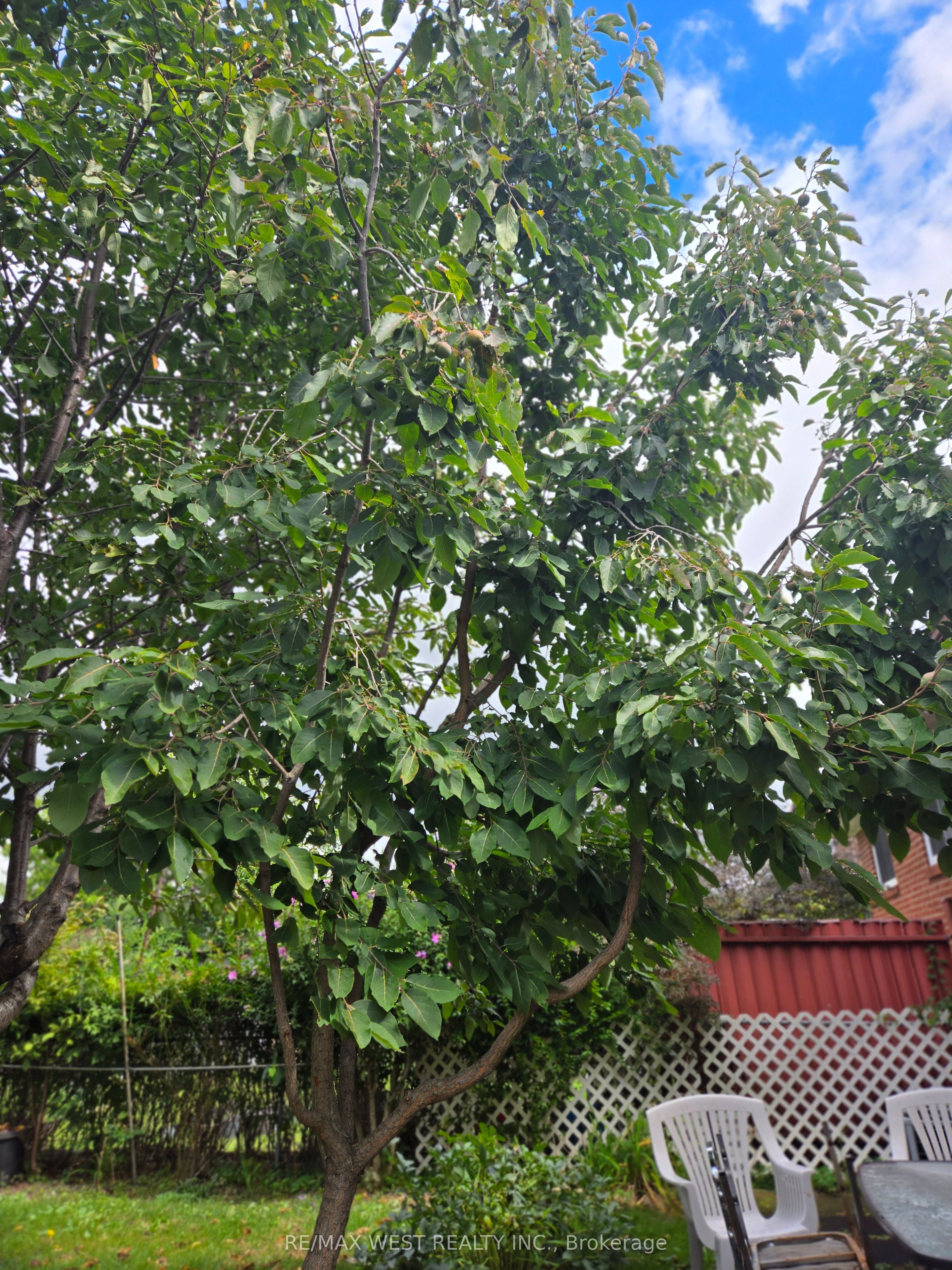 #upper - 769 Greenore Road Property Photo 14