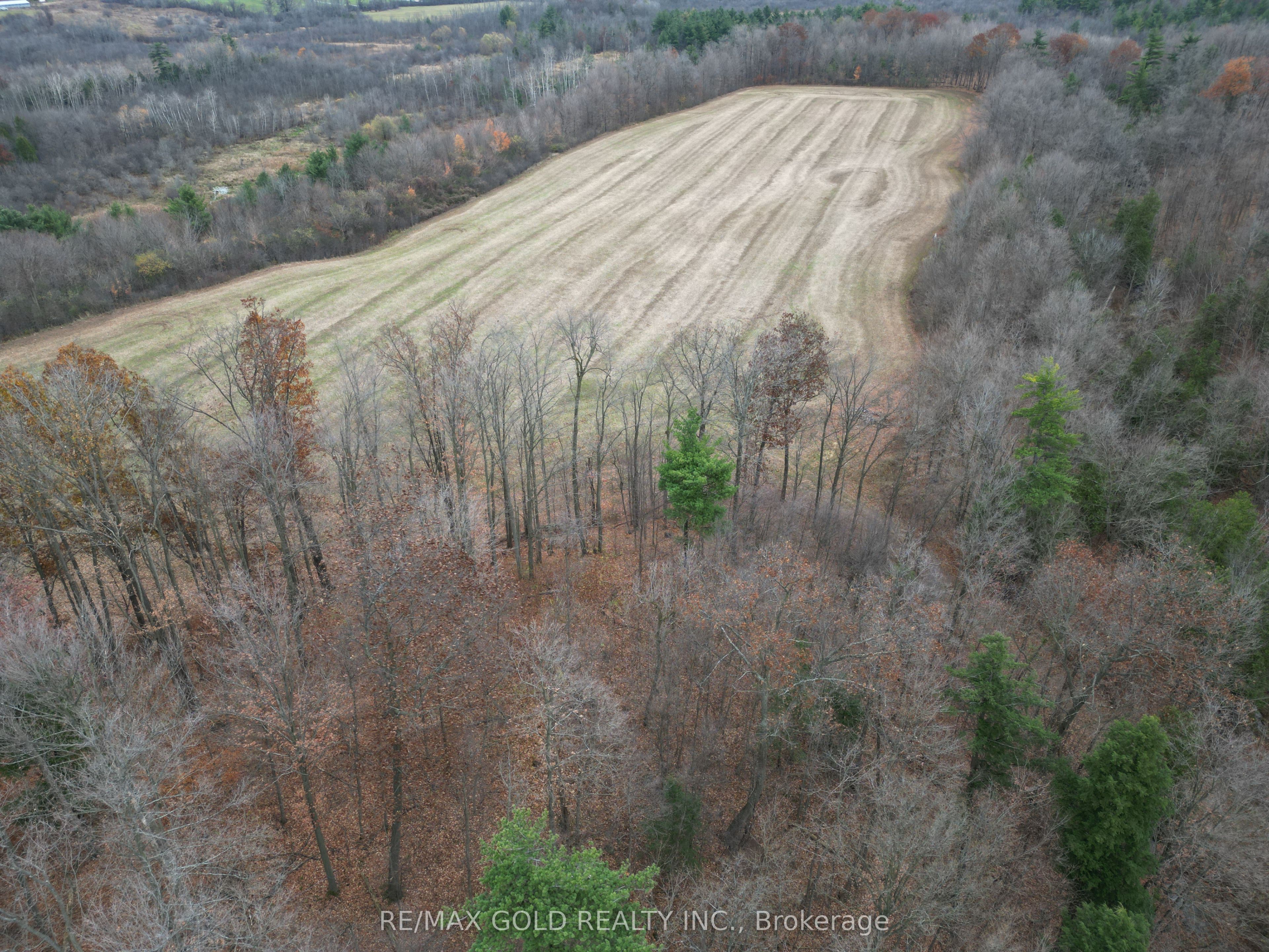 13215 Highway 7 Property Photo 13