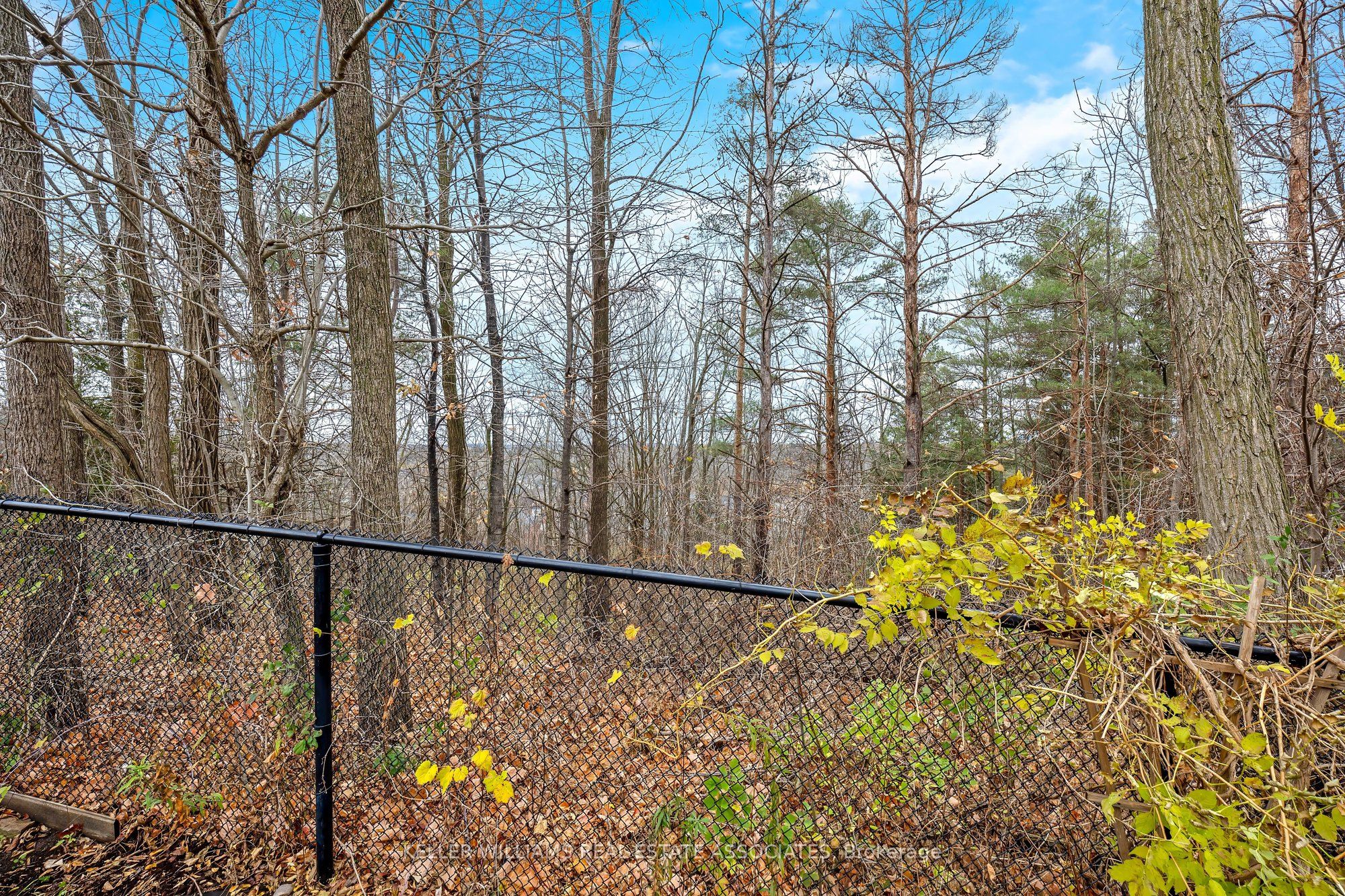 298 Eaton Street Property Photo 47