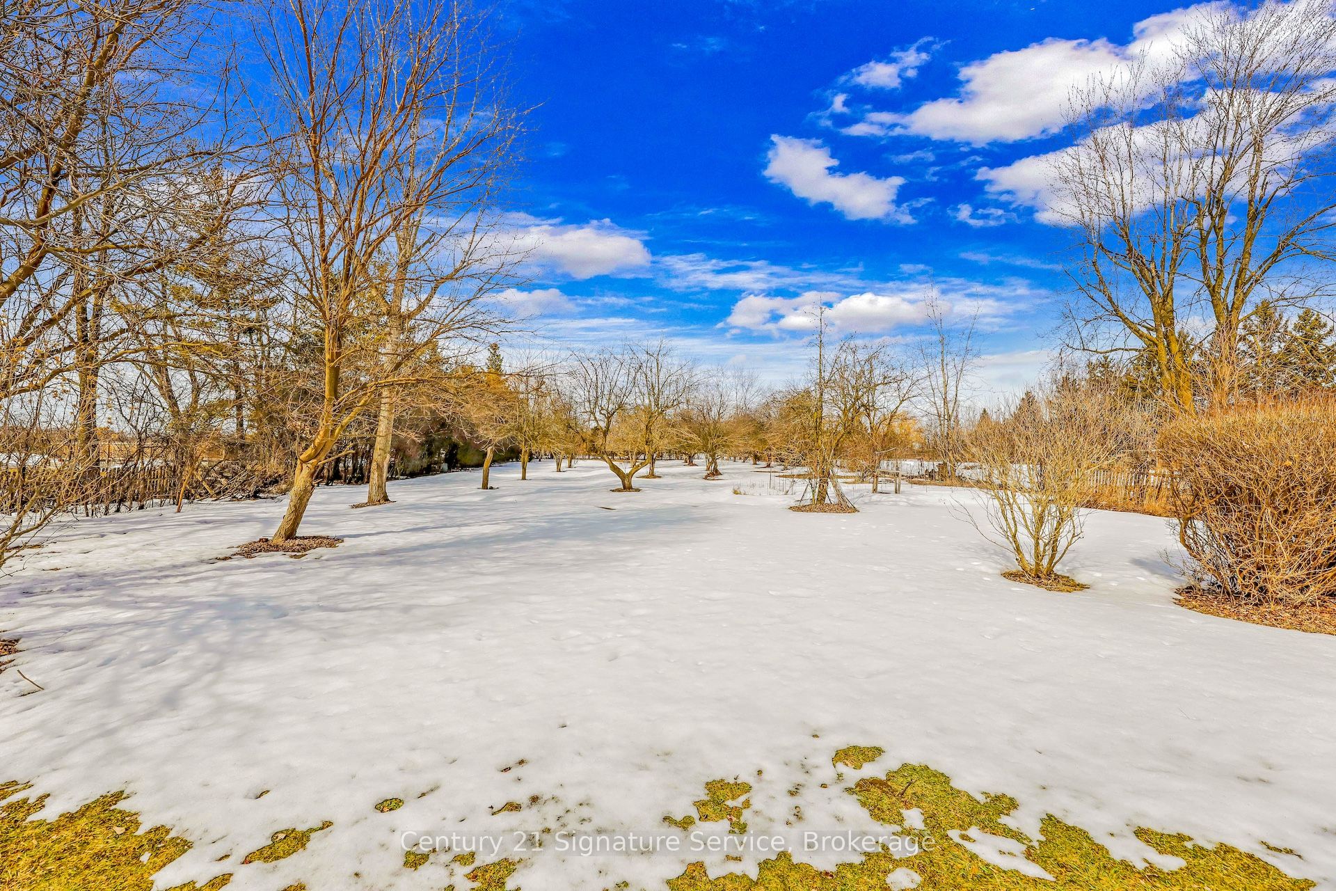 8026 Mayfield Road Property Photo 35