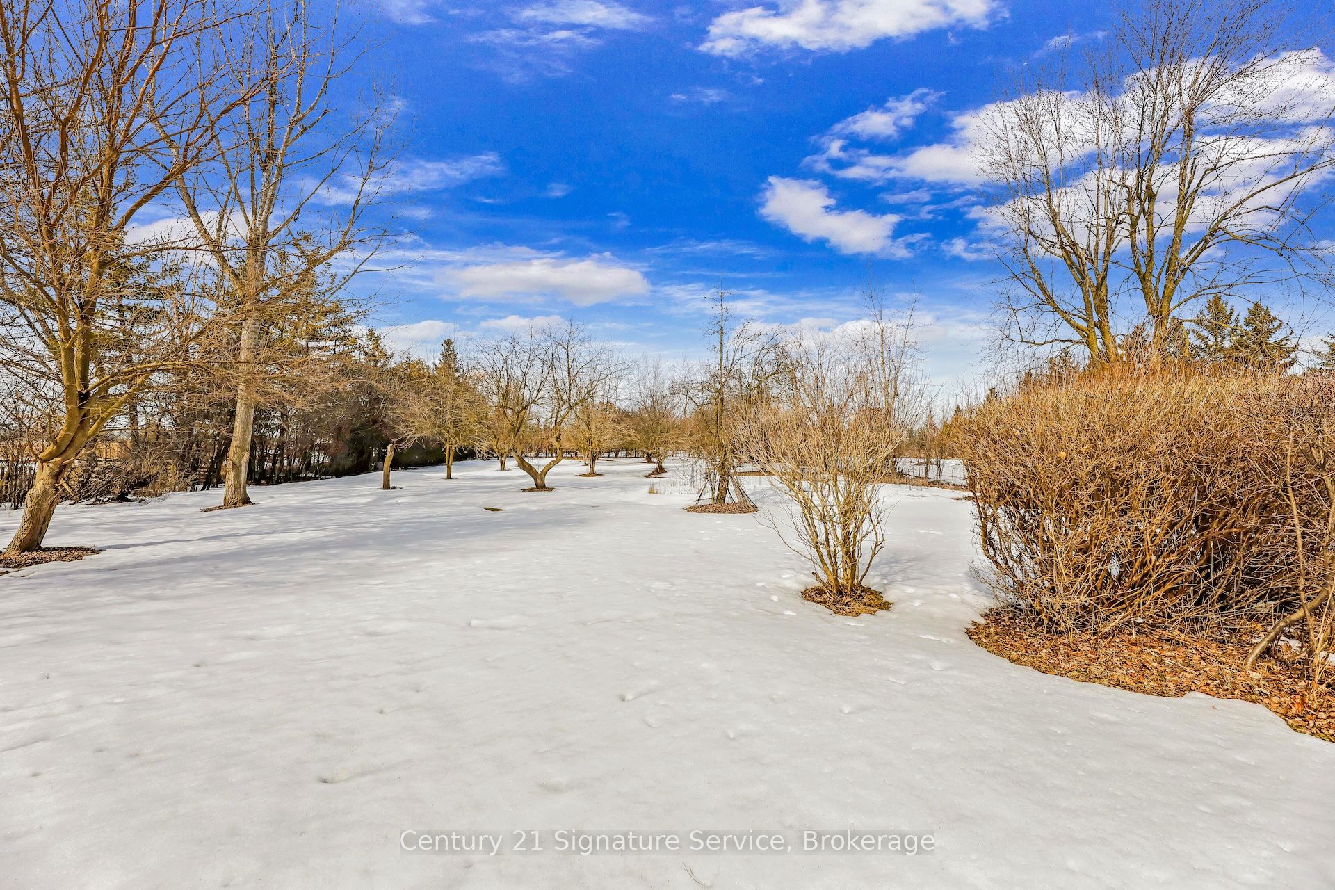8026 Mayfield Road Property Photo 36