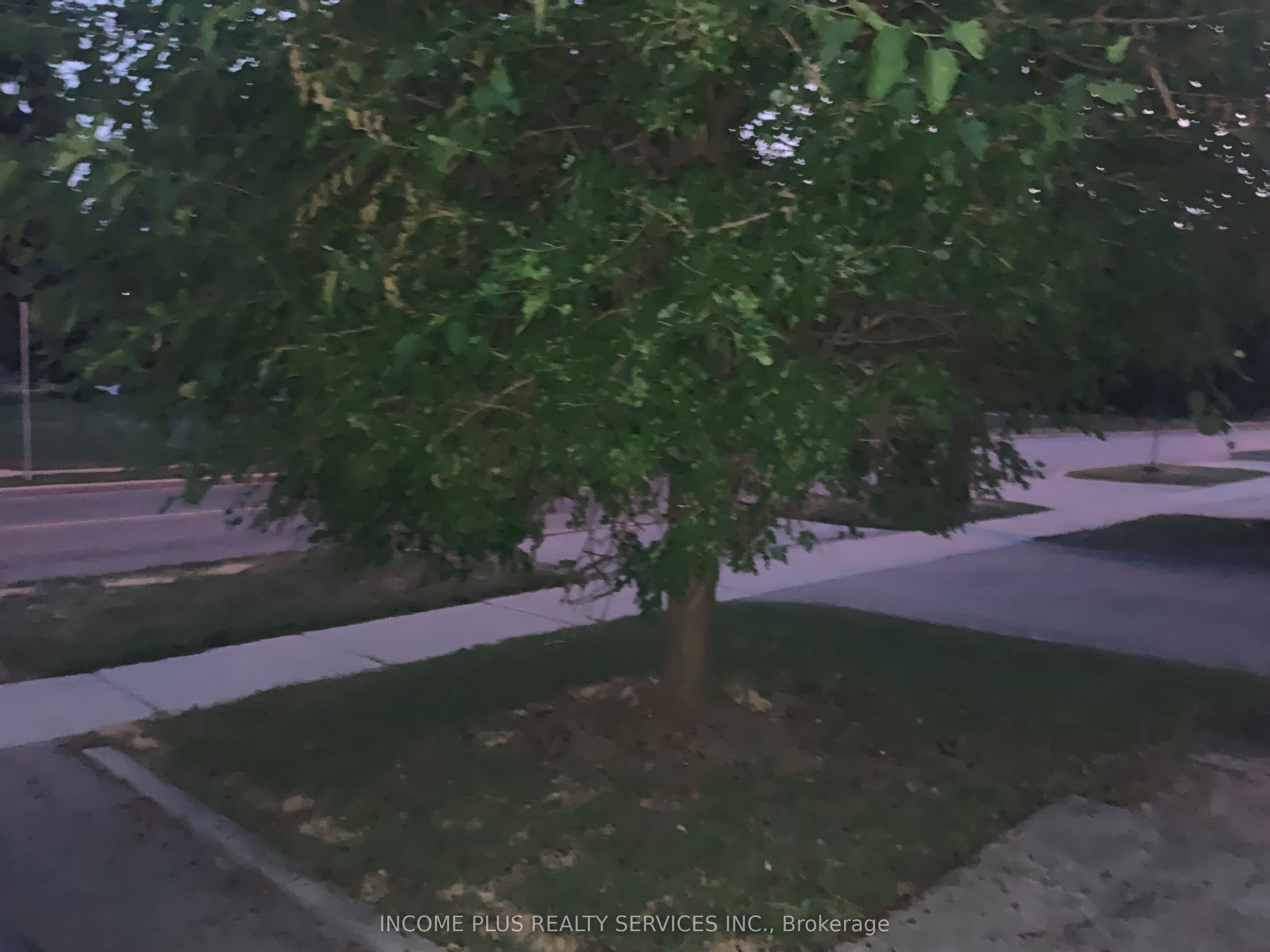 335 Ranee Avenue Property Photo 42