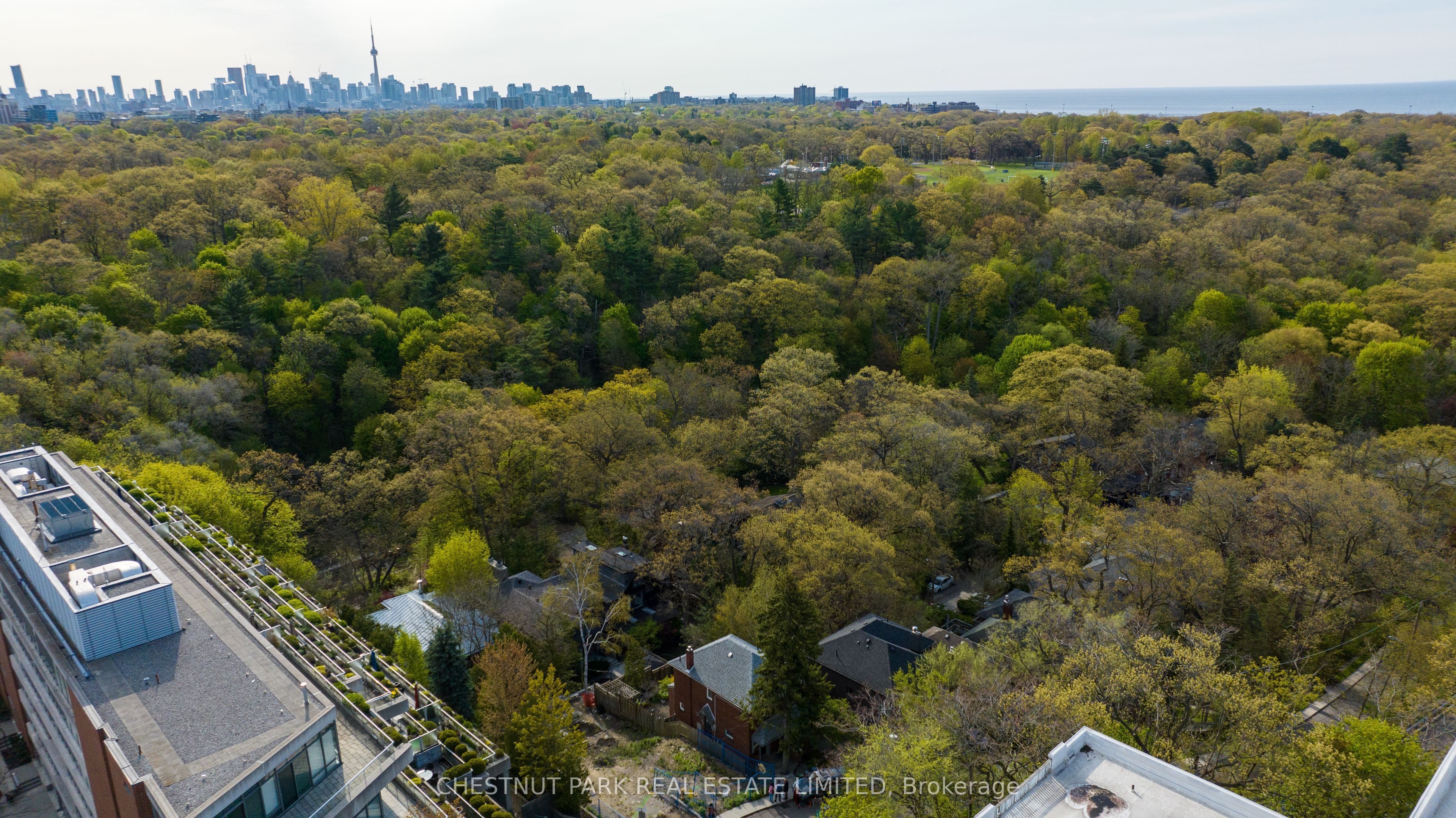 379 Ellis Park Road Property Photo 4