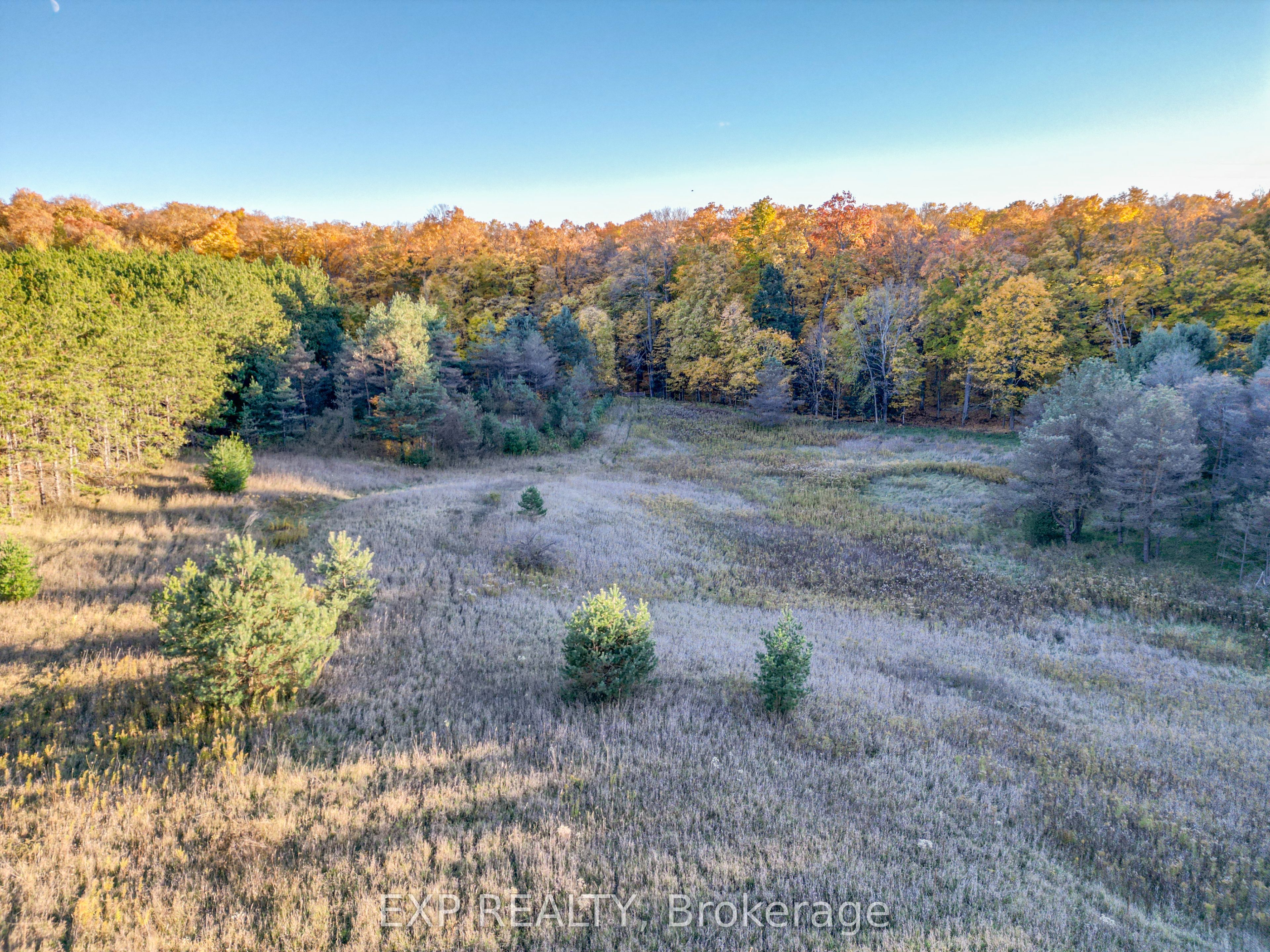 Lot 29 Con. 8 Property Photo 11