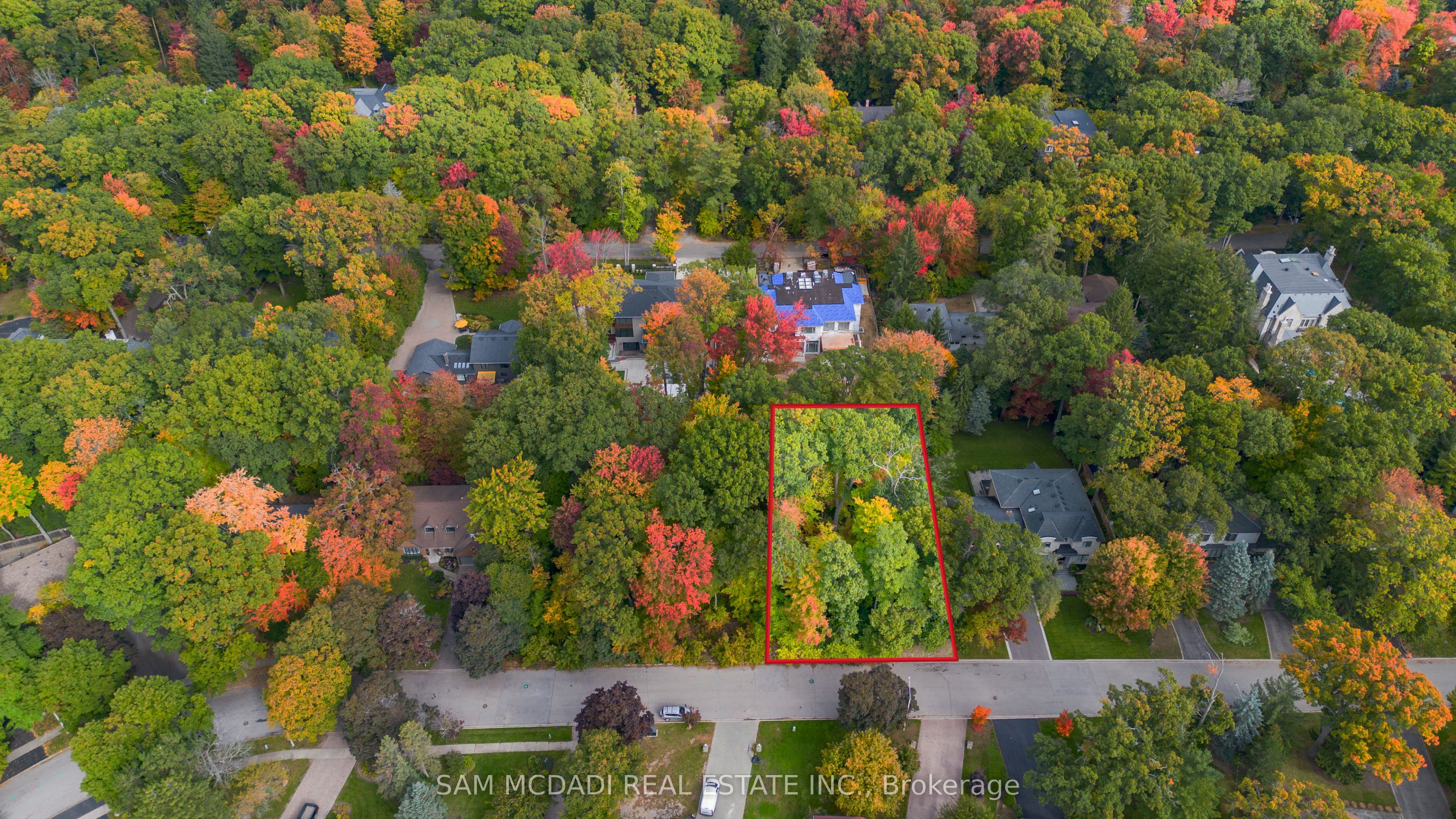 2115 Lynchmere Avenue Property Photo 2