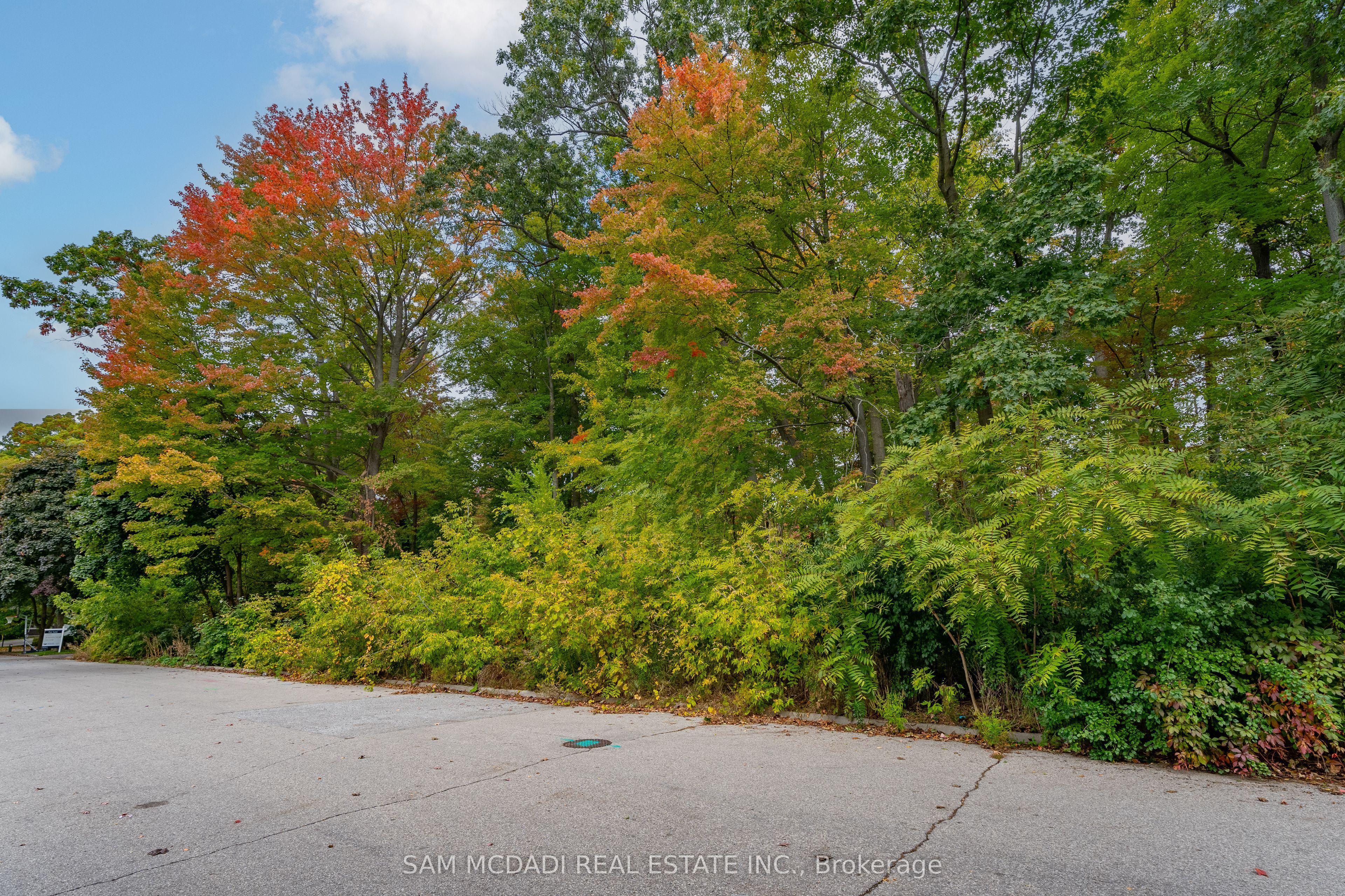 2115 Lynchmere Avenue Property Photo 8