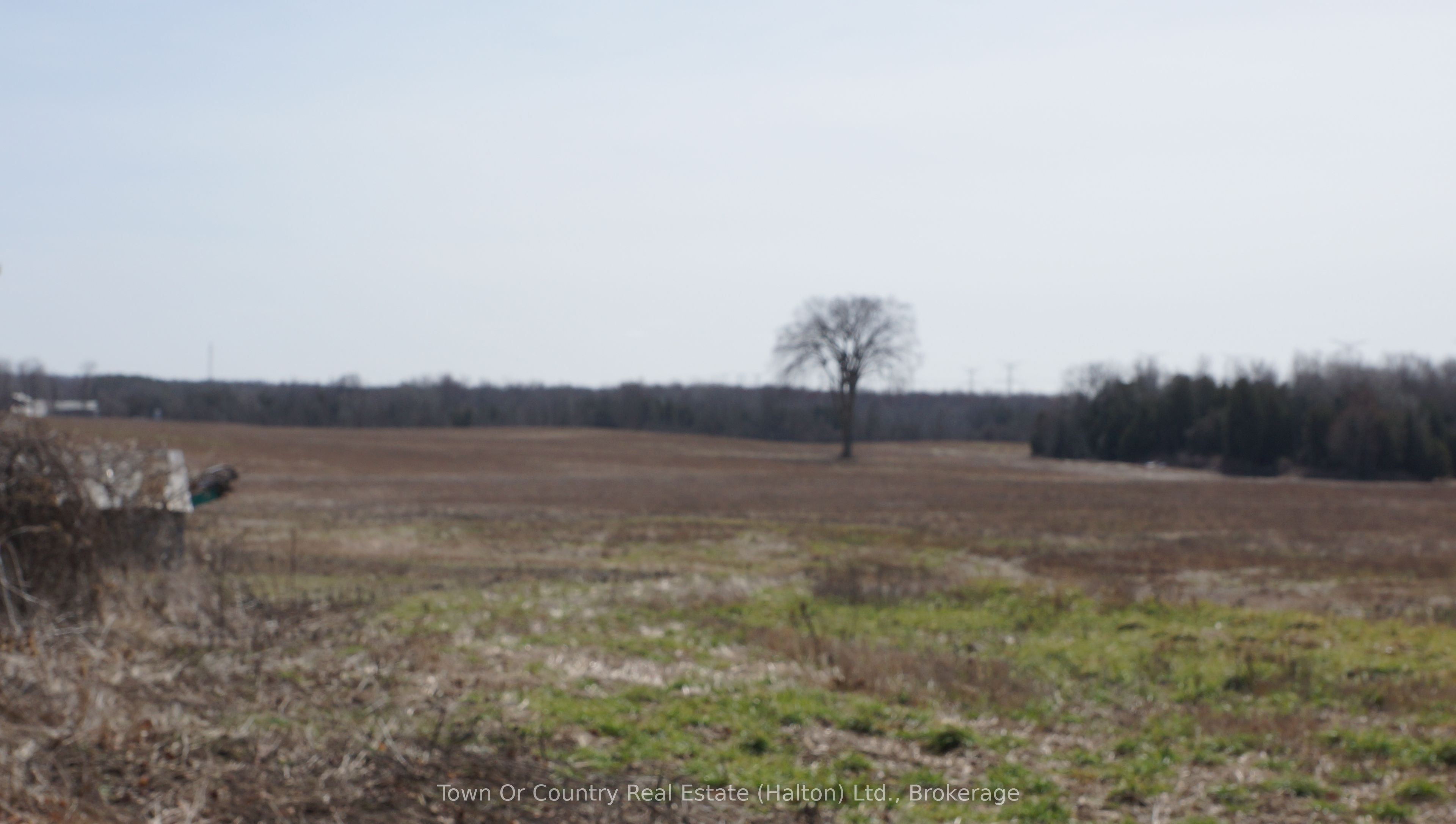 10894 32 Sideroad Property Photo 4