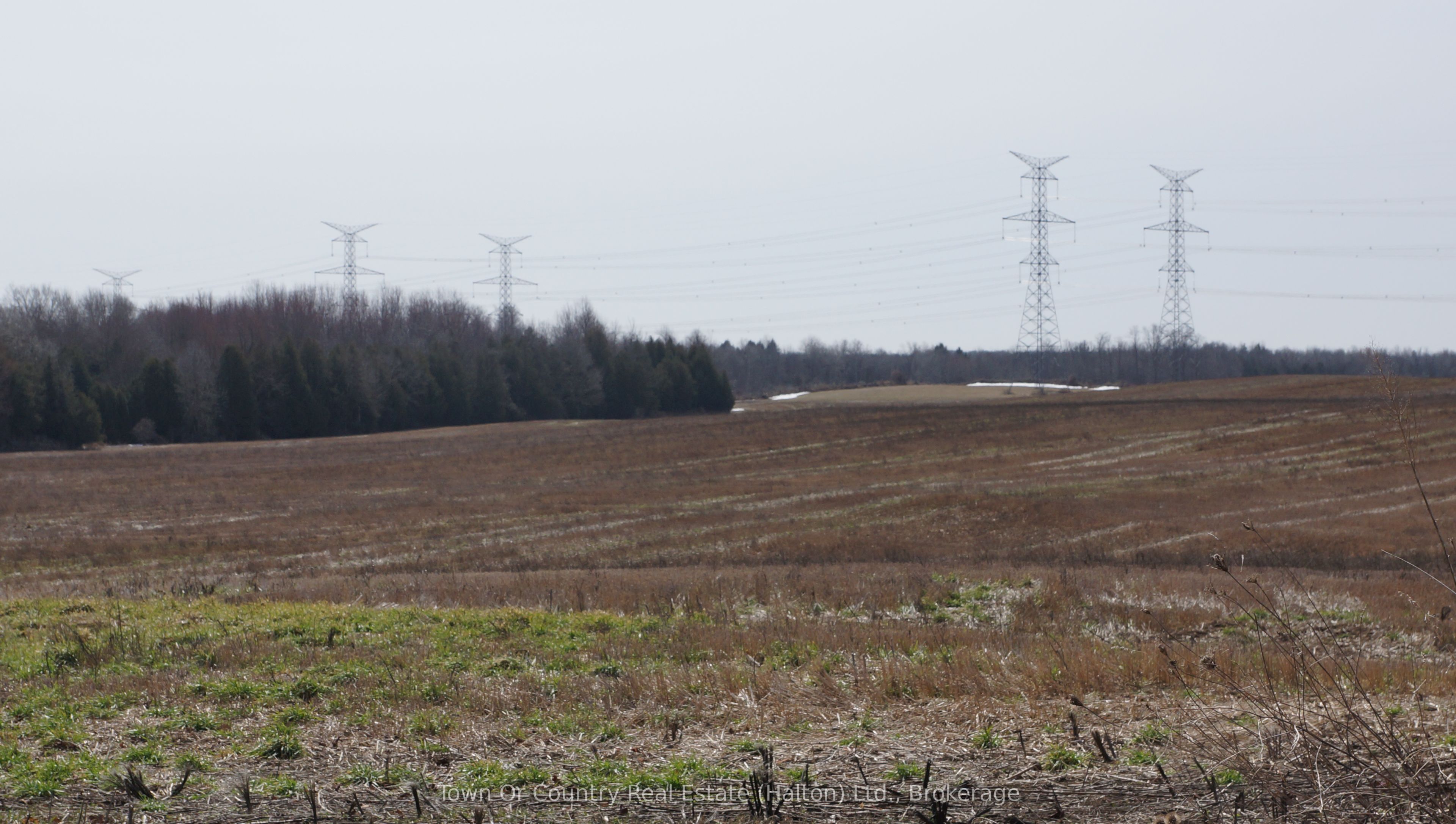 10894 32 Sideroad Property Photo 5