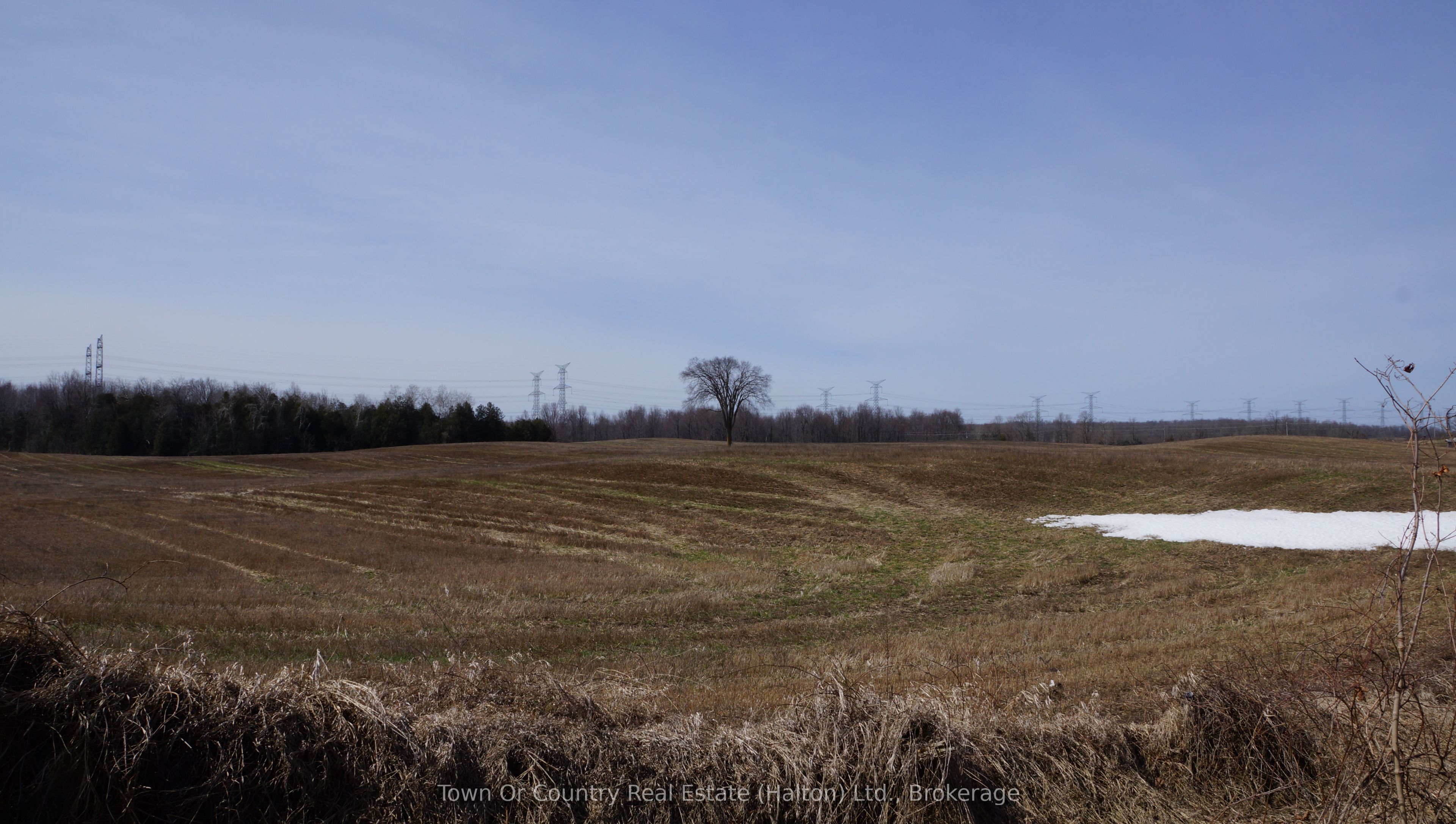 10894 32 Sideroad Property Photo 6